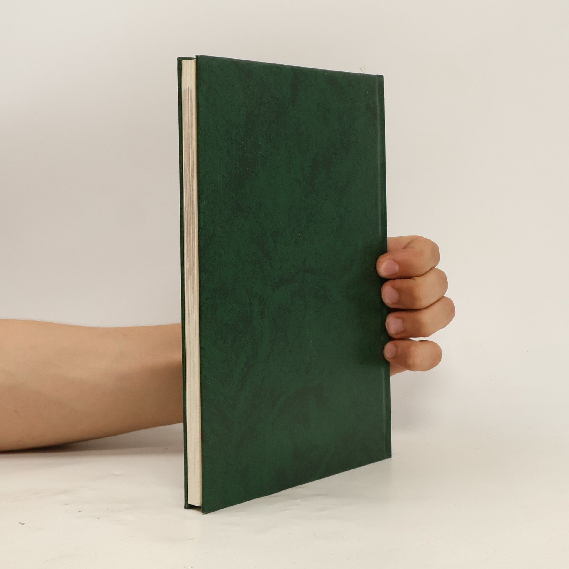 Various authors Egy magyarországi kisváros épitészeti emlékei
