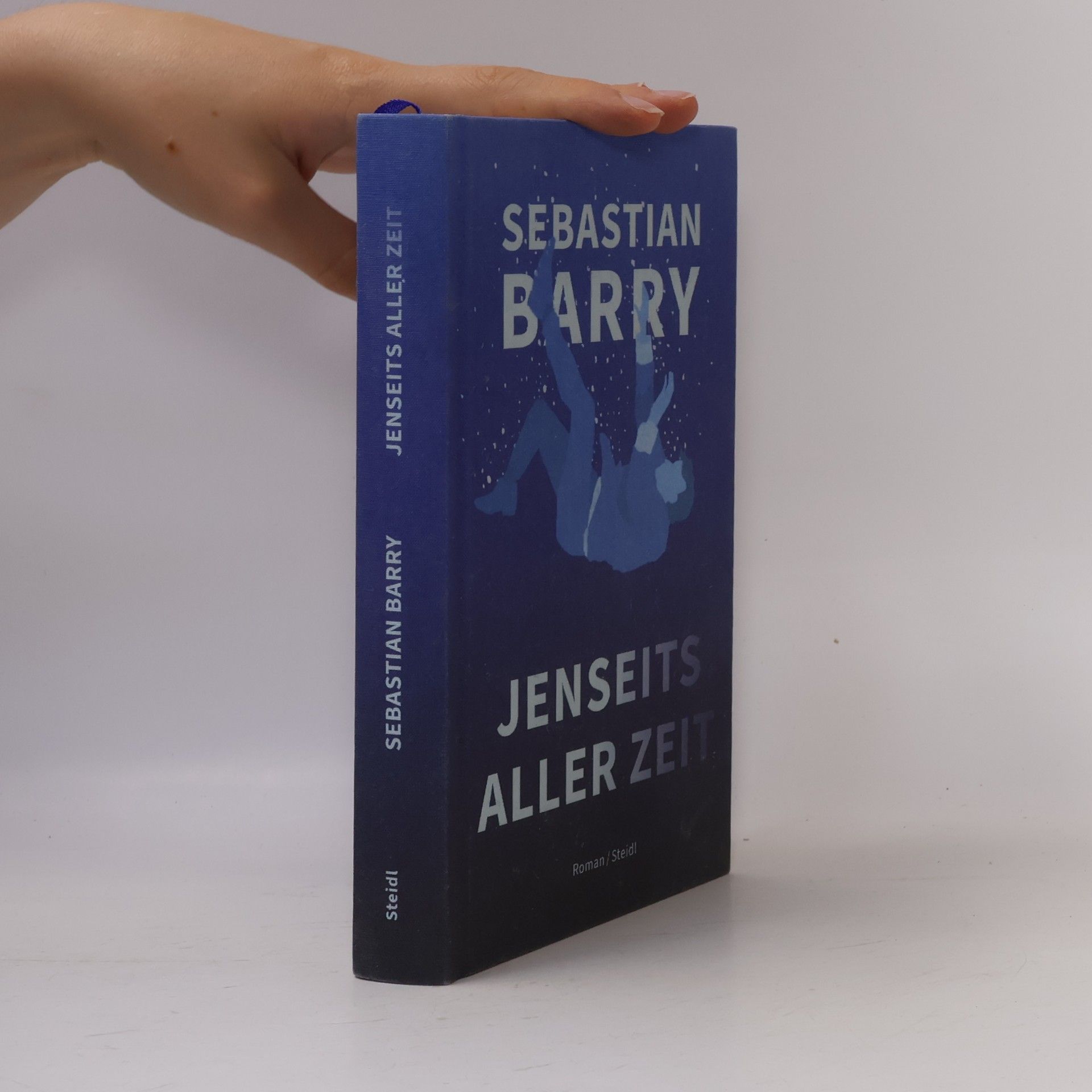 Sebastian Barry Jenseits aller Zeit