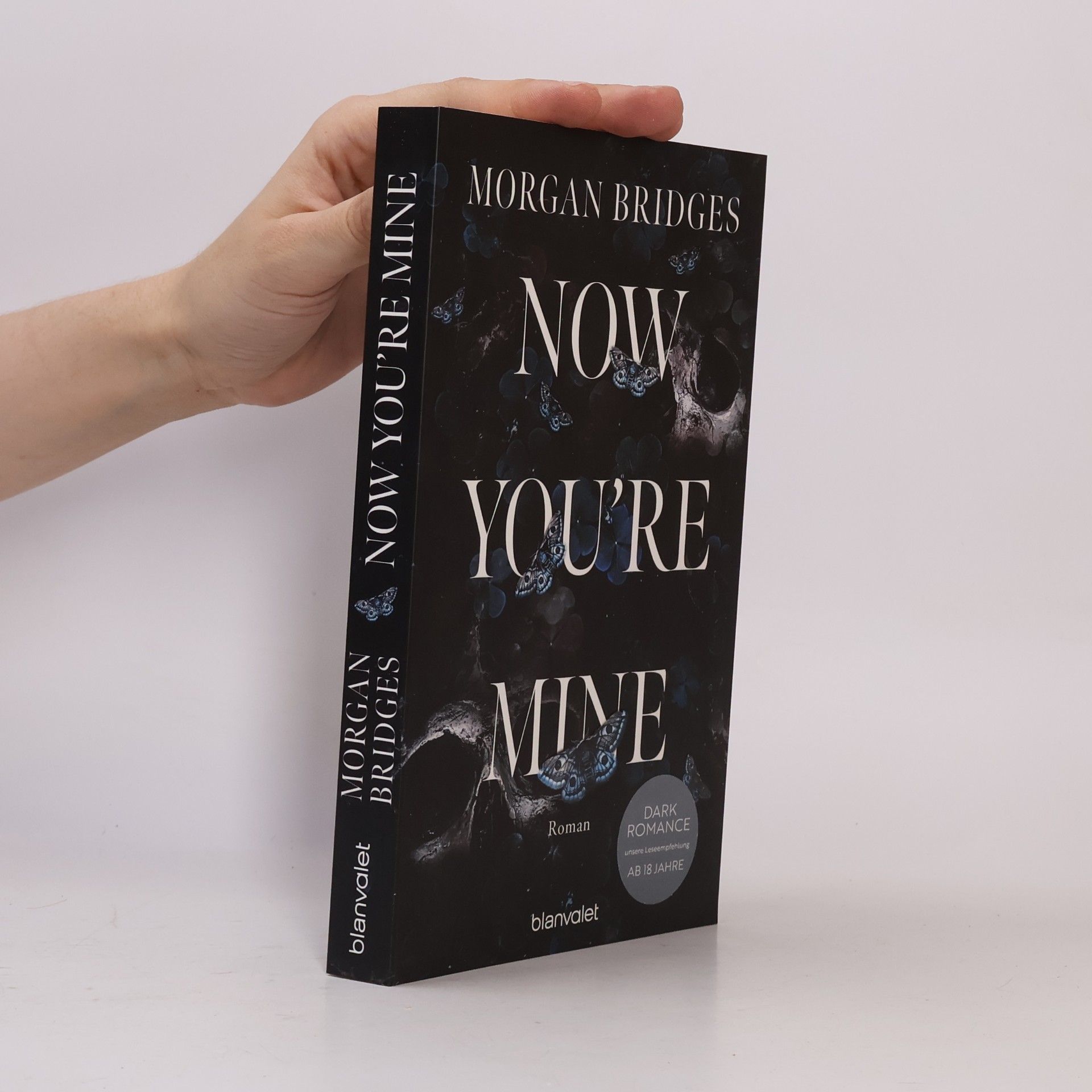 Morgan Bridges Now You're Mine