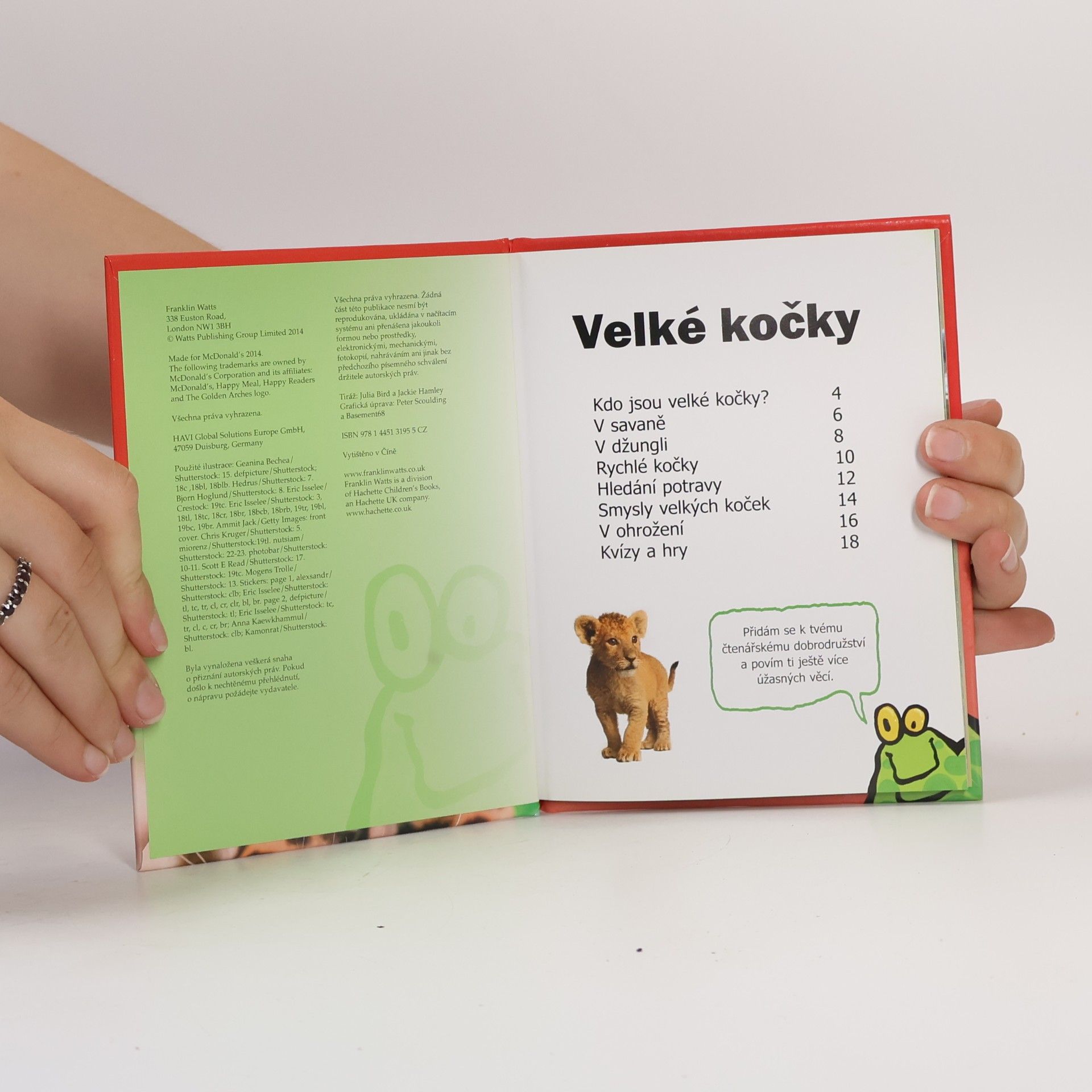 Autorenkollektiv Velké kočky