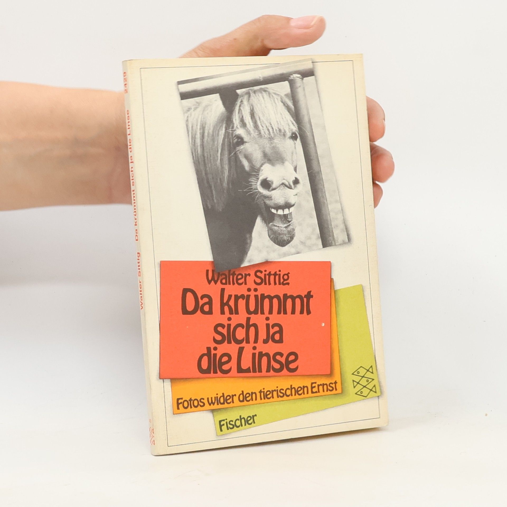 Walter Sittig Da krümmt sich ja die Linse