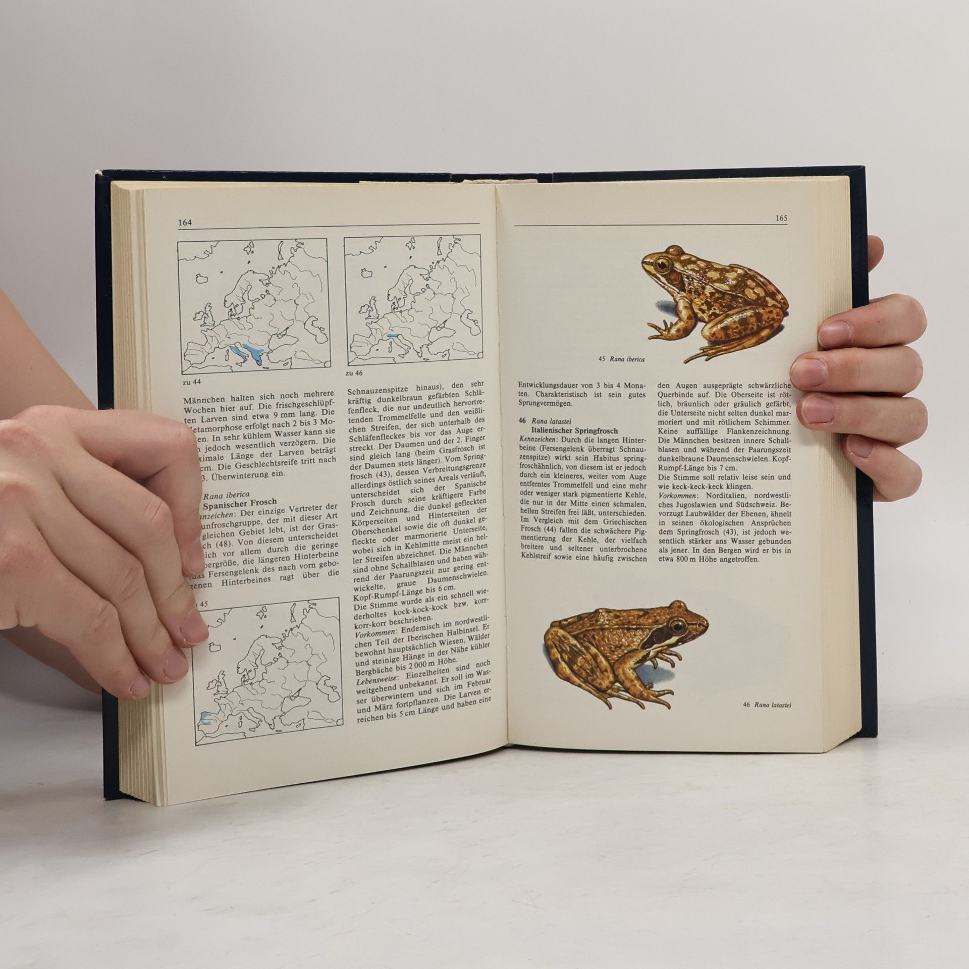 Autorenkollektiv Lurche und Kriechtiere Europas