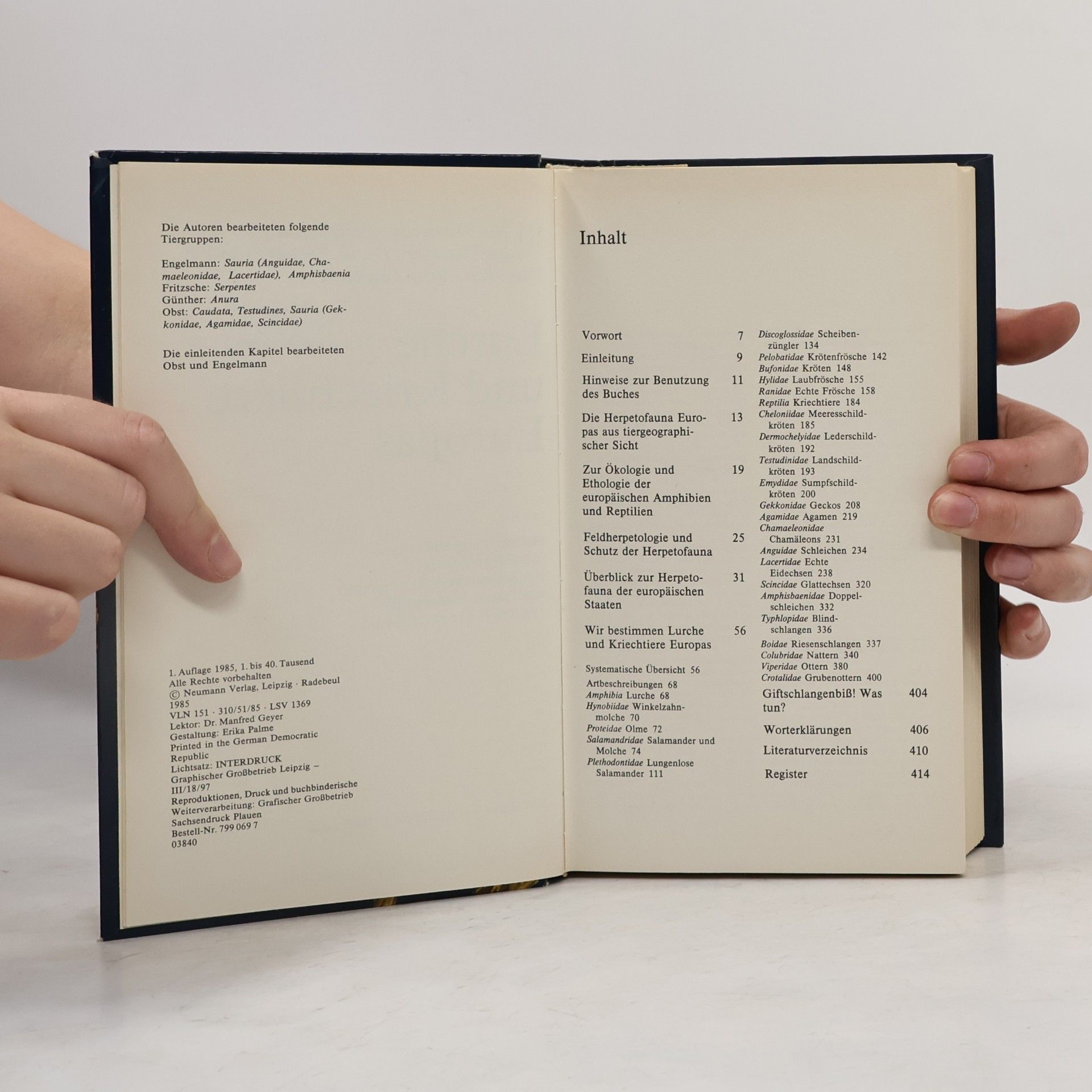 Autorenkollektiv Lurche und Kriechtiere Europas