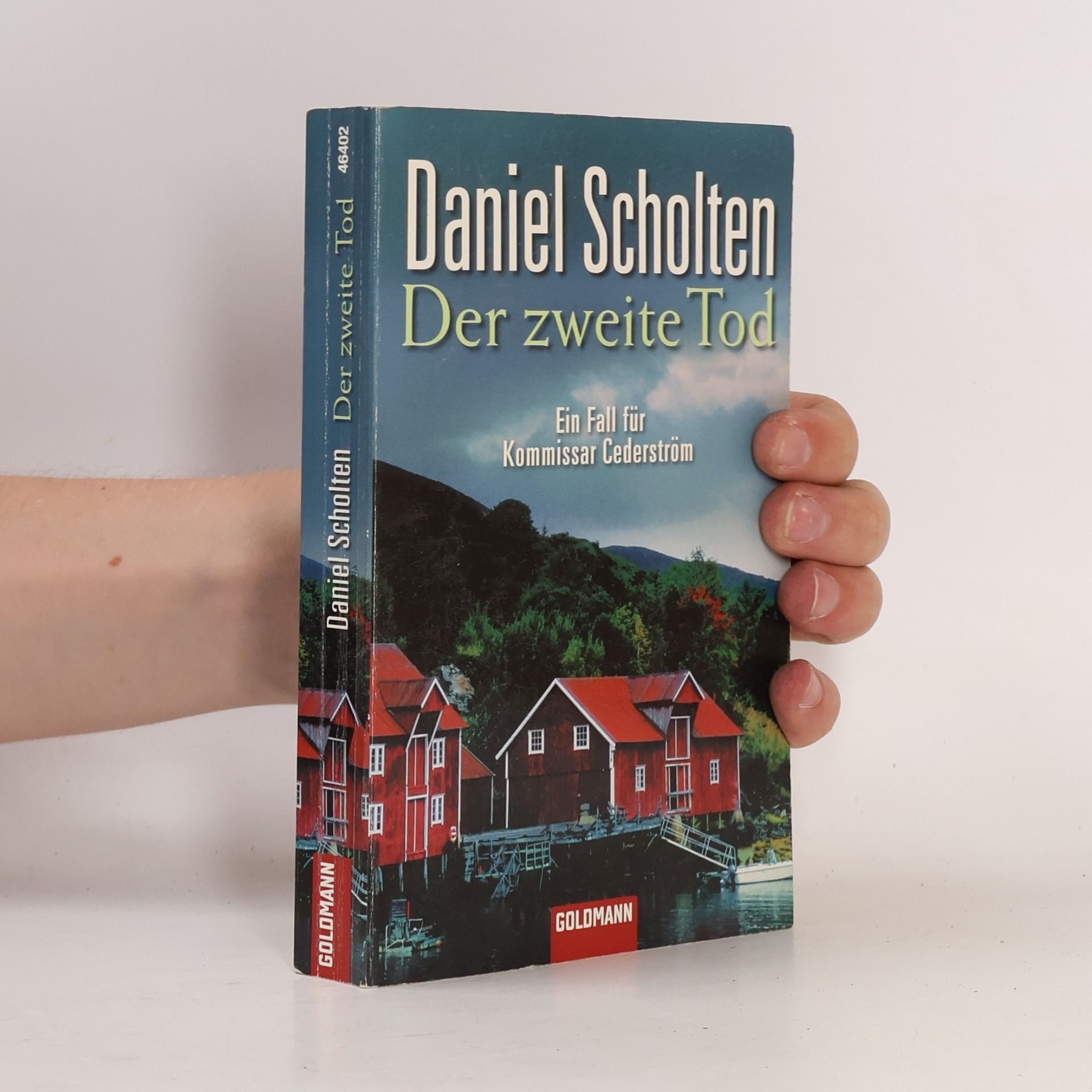 Daniel Scholten Der zweite Tod