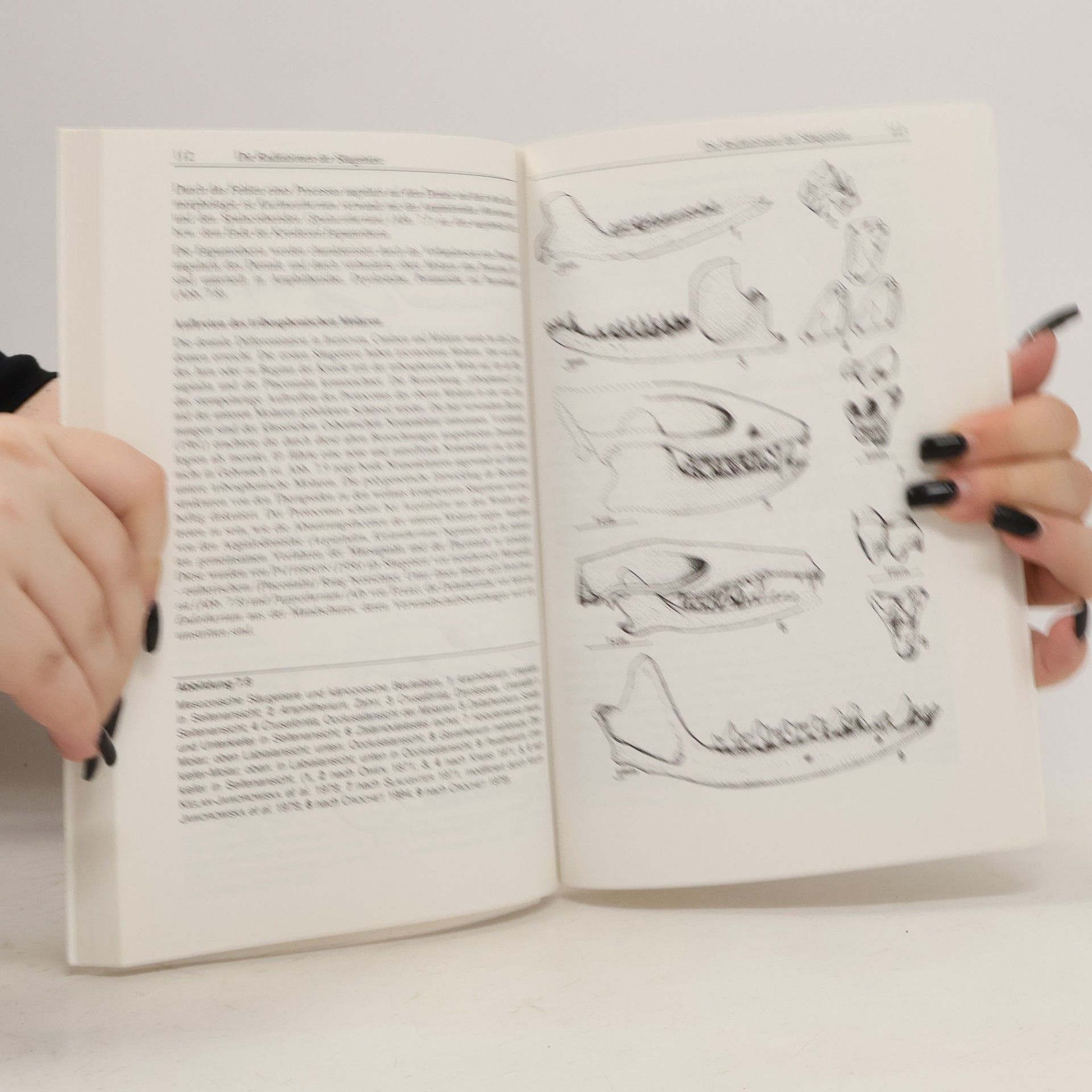 Jean Chaline Paläontologie der Wirbeltiere