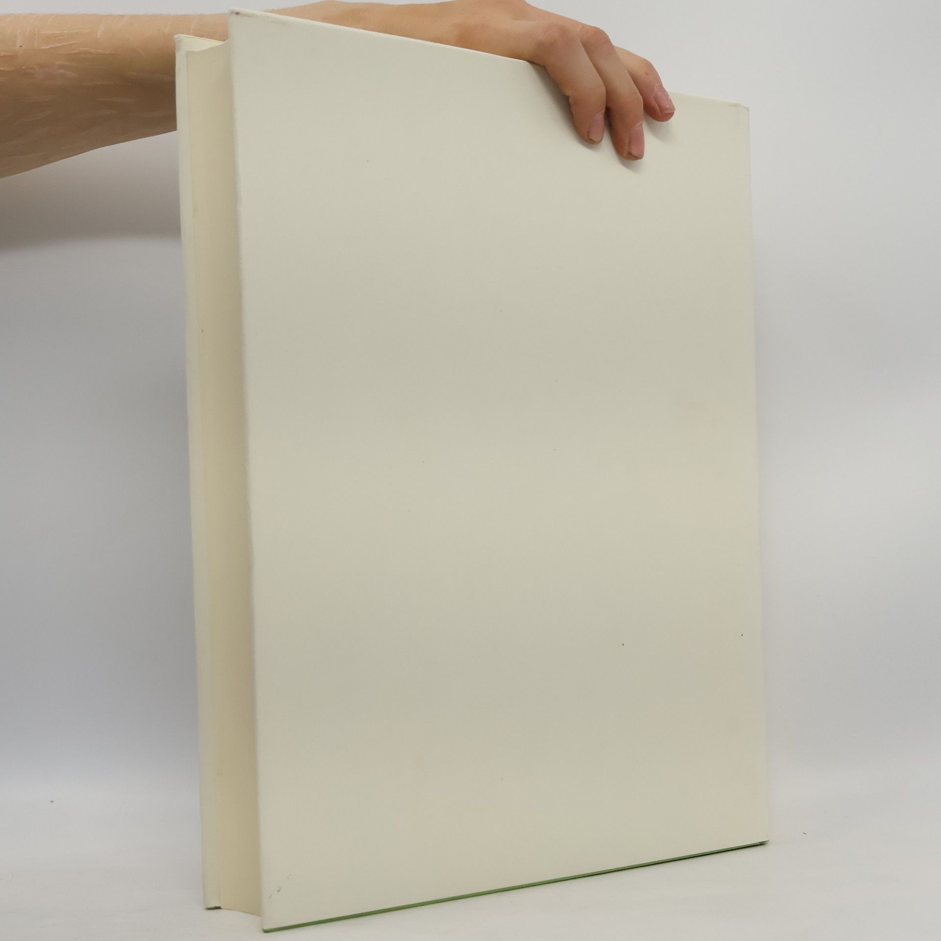 Hans Schäufelein Das druckgraphische Werk