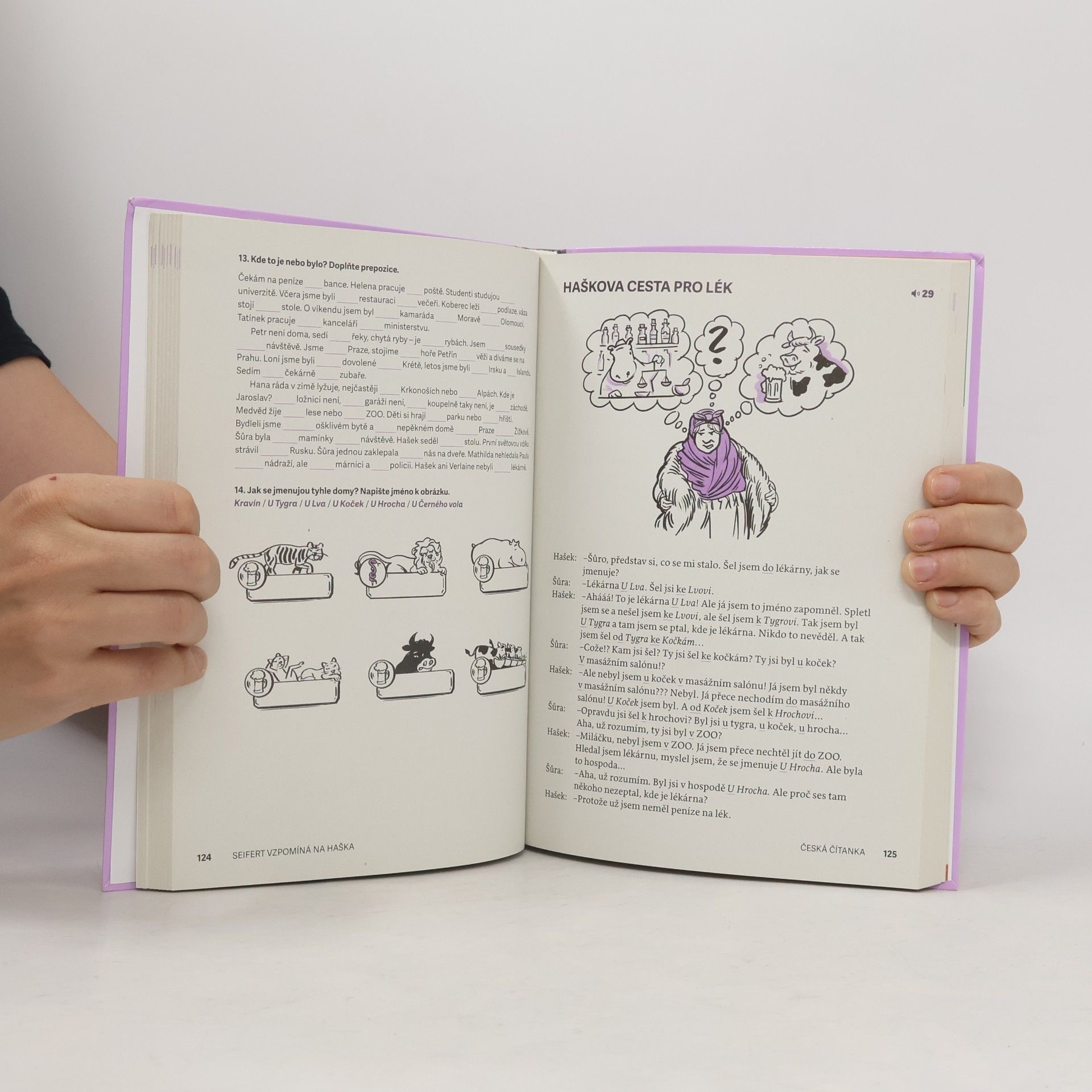 Ilona Starý Kořánová Česká čítanka. Grammatical Notes