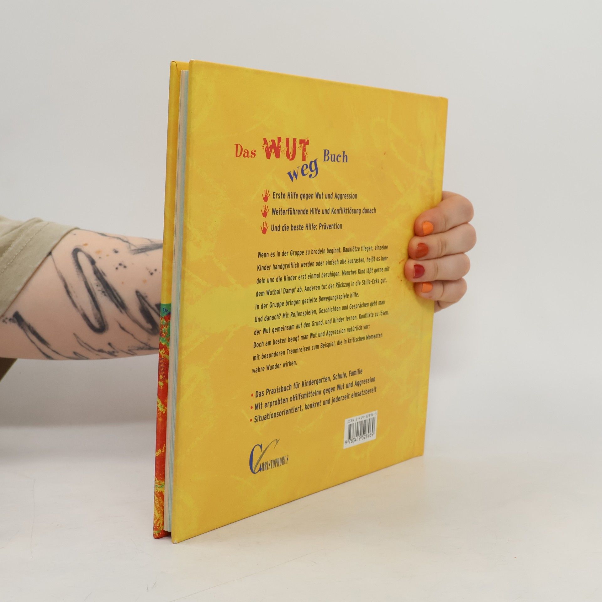 Thomas O. H. Kaiser Das Wut Weg Buch