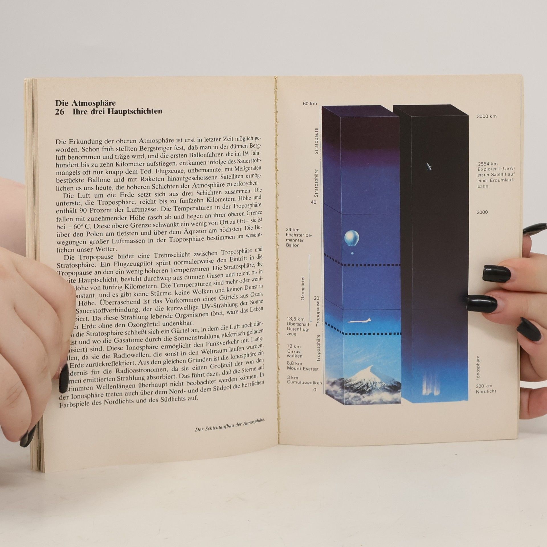 Jugendhandbuch Naturwissen