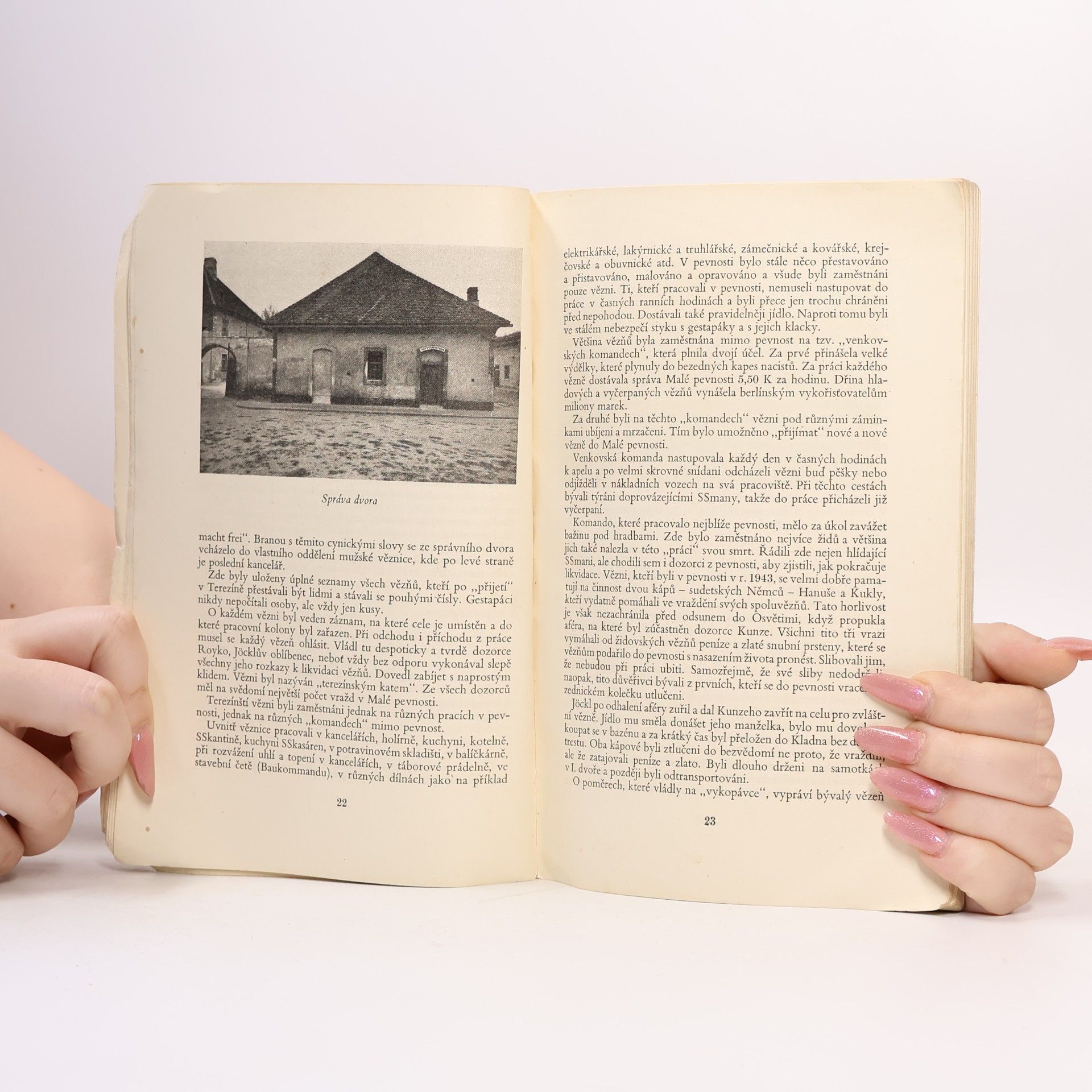 Táňa Kulišová Malá pevnost Terezín: Národní hřbitov: Ghetto