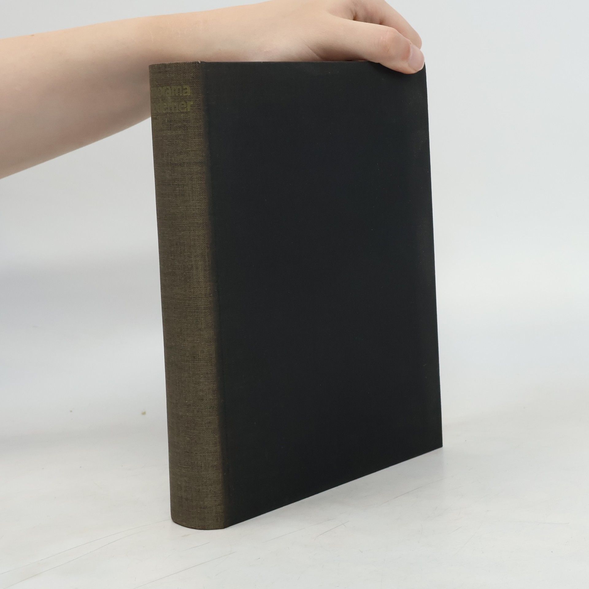 Various authors Panorama moderner Lyrik