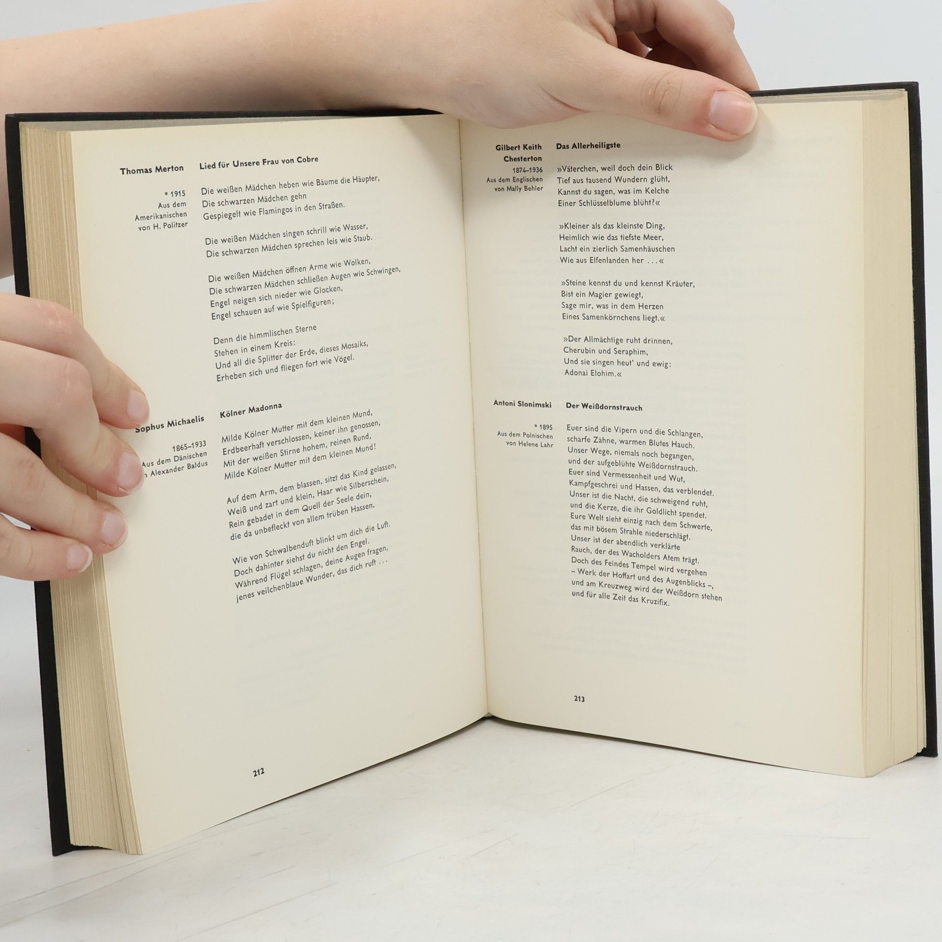 Various authors Panorama moderner Lyrik
