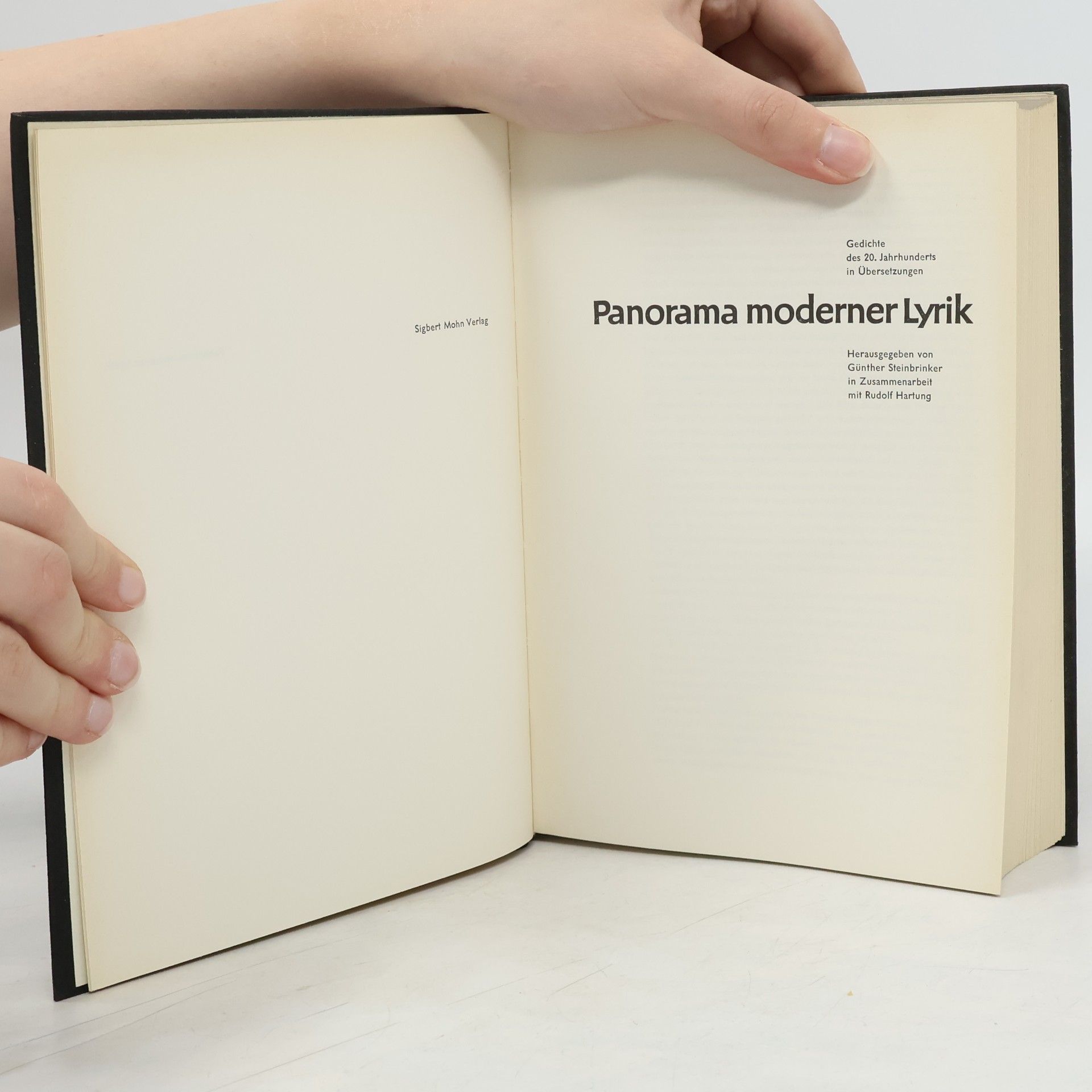 Various authors Panorama moderner Lyrik