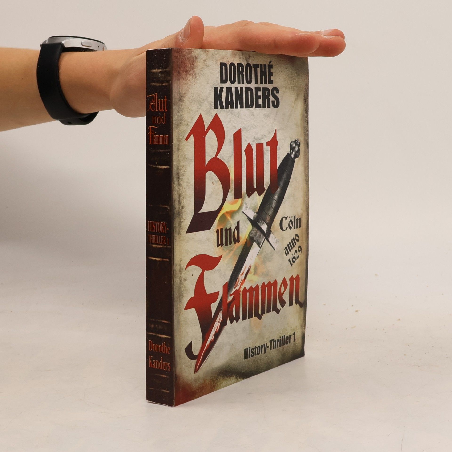 Dorothe Kanders History-Thriller - 1: Blut und Flammen