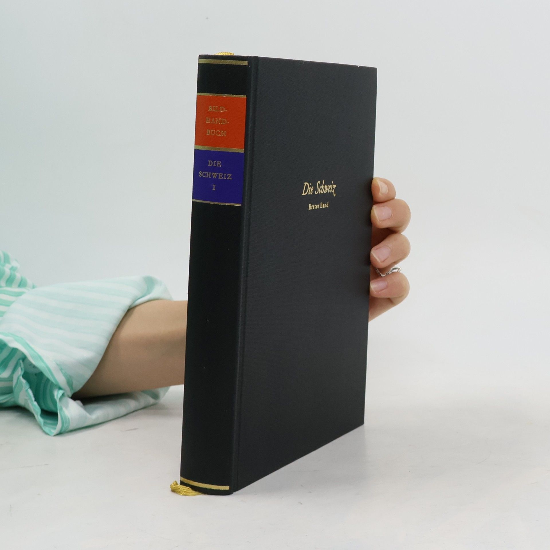Autorenkollektiv Bild-Handbuch der Kunstdenkmäler: Die Schweiz I