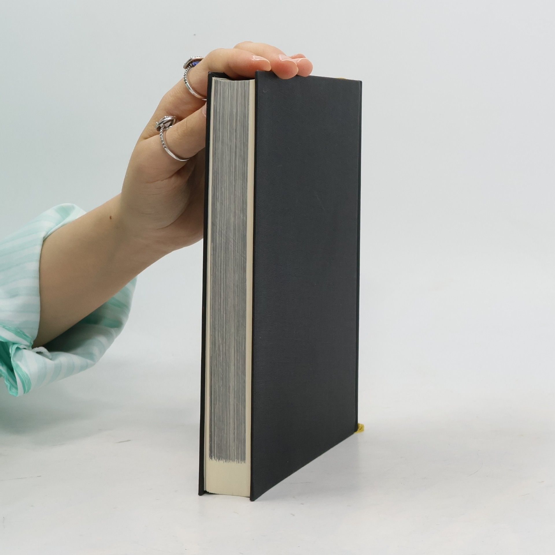 Autorenkollektiv Bild-Handbuch der Kunstdenkmäler: Die Schweiz I