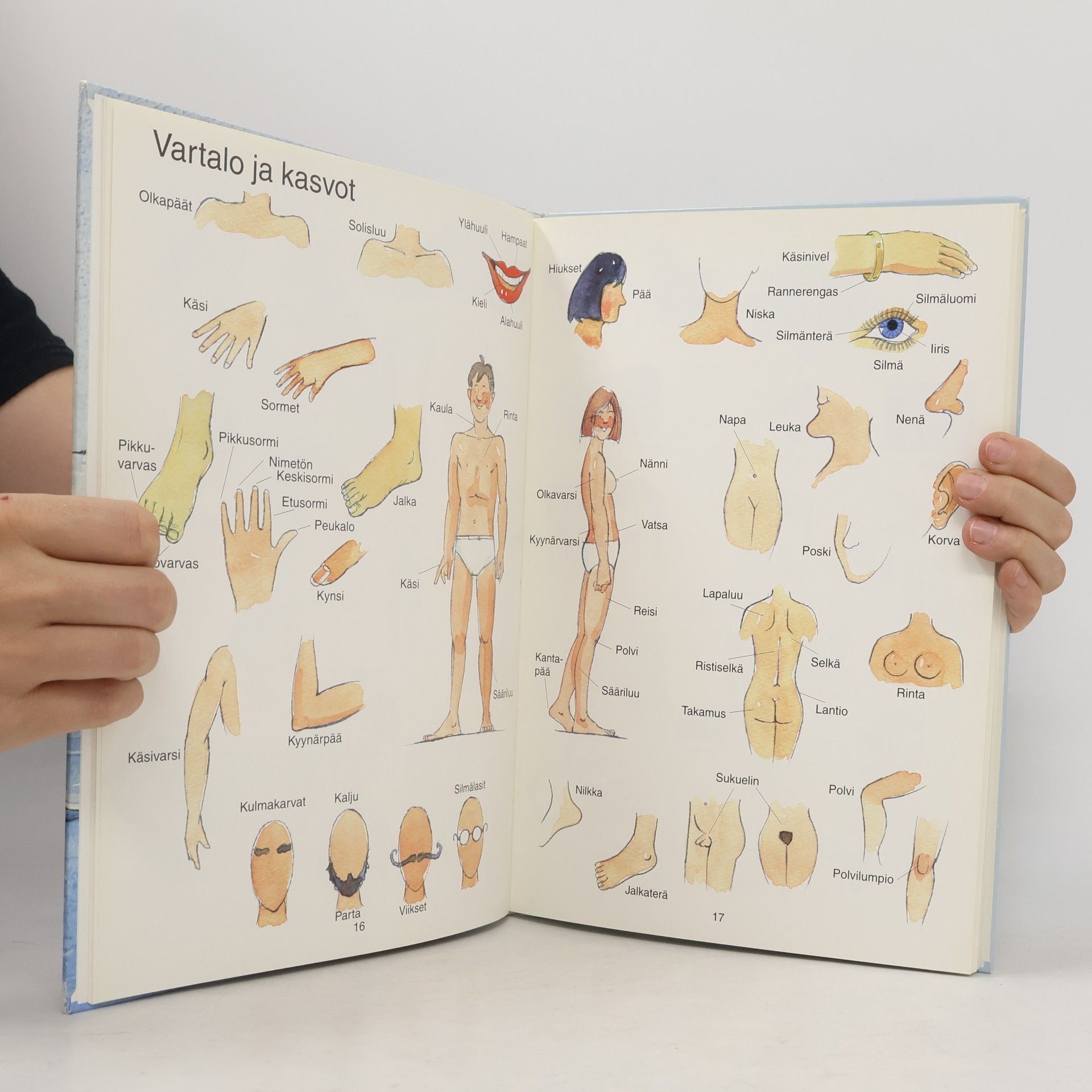 Studio Barry Kuvasanakirja