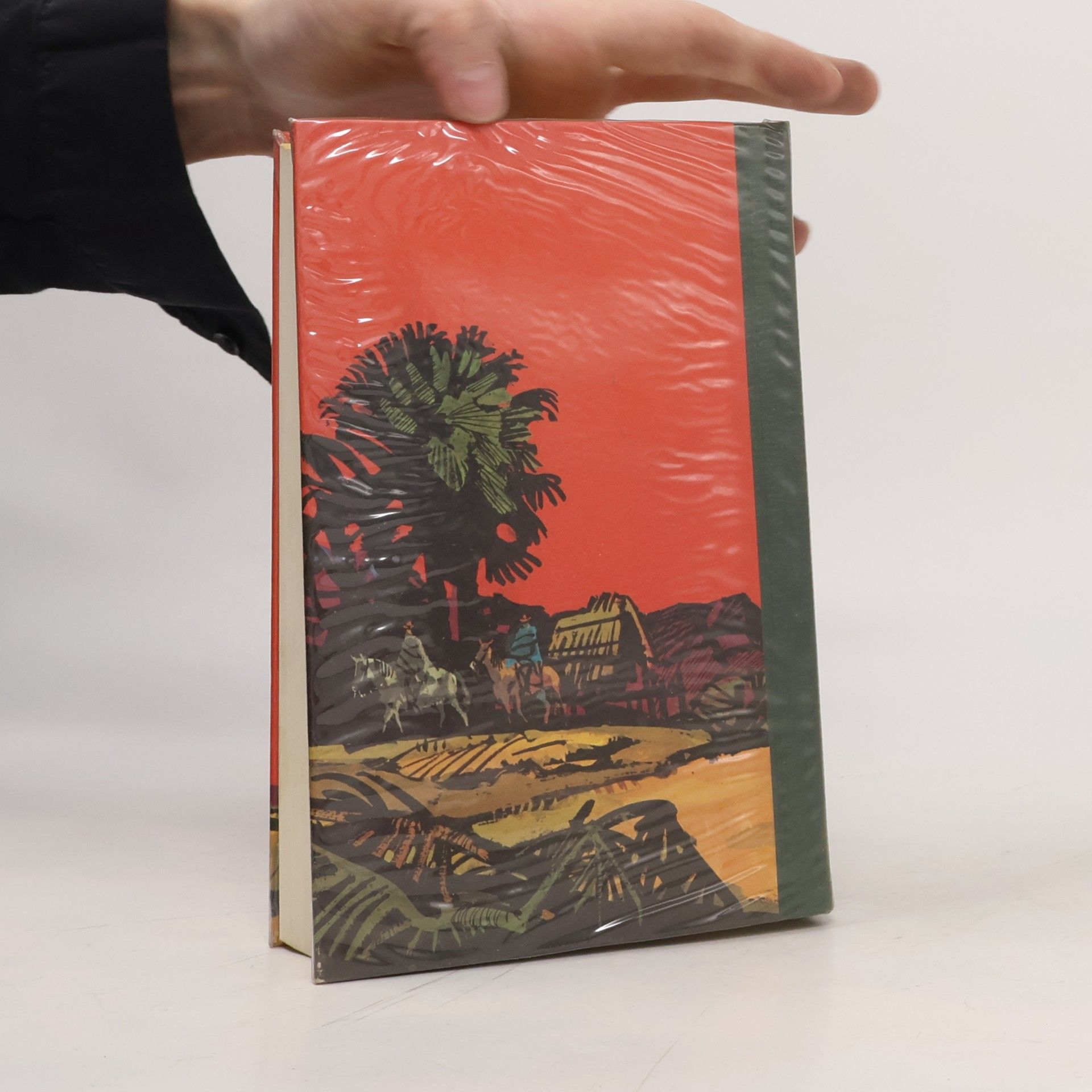 Karl May In der Kordilleren