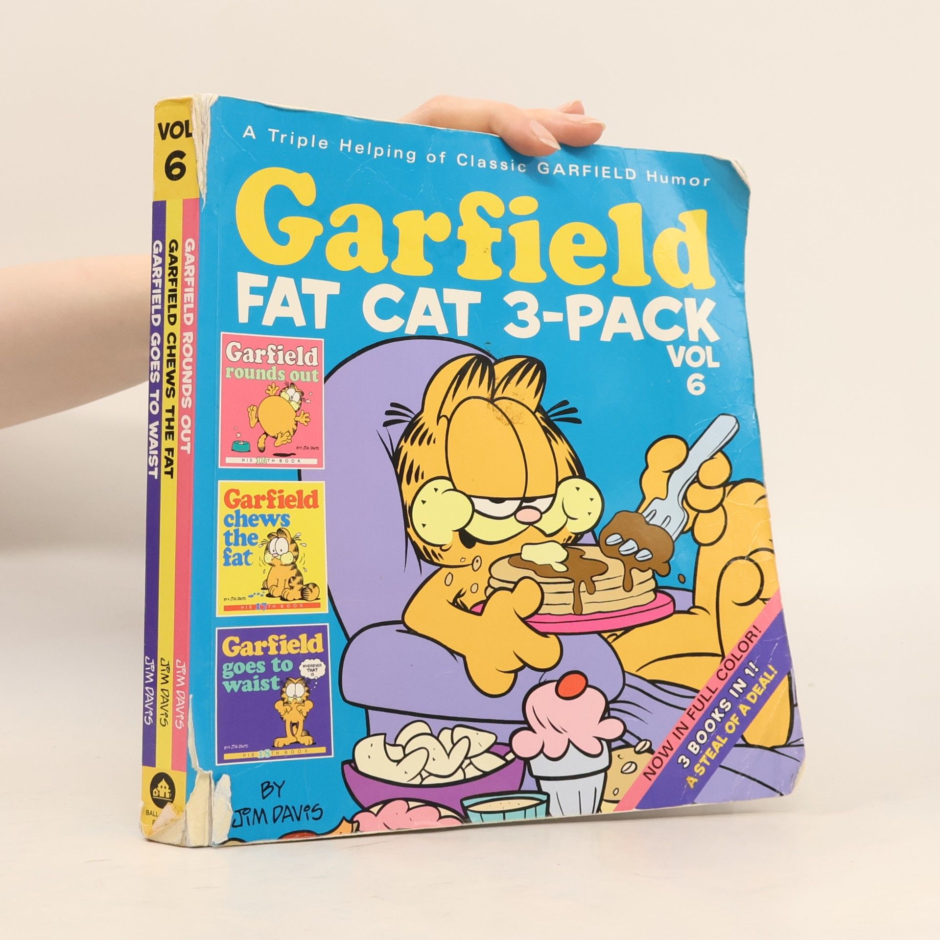 Jim Davis Garfield Fat Cat 3-Pack vol. 6
