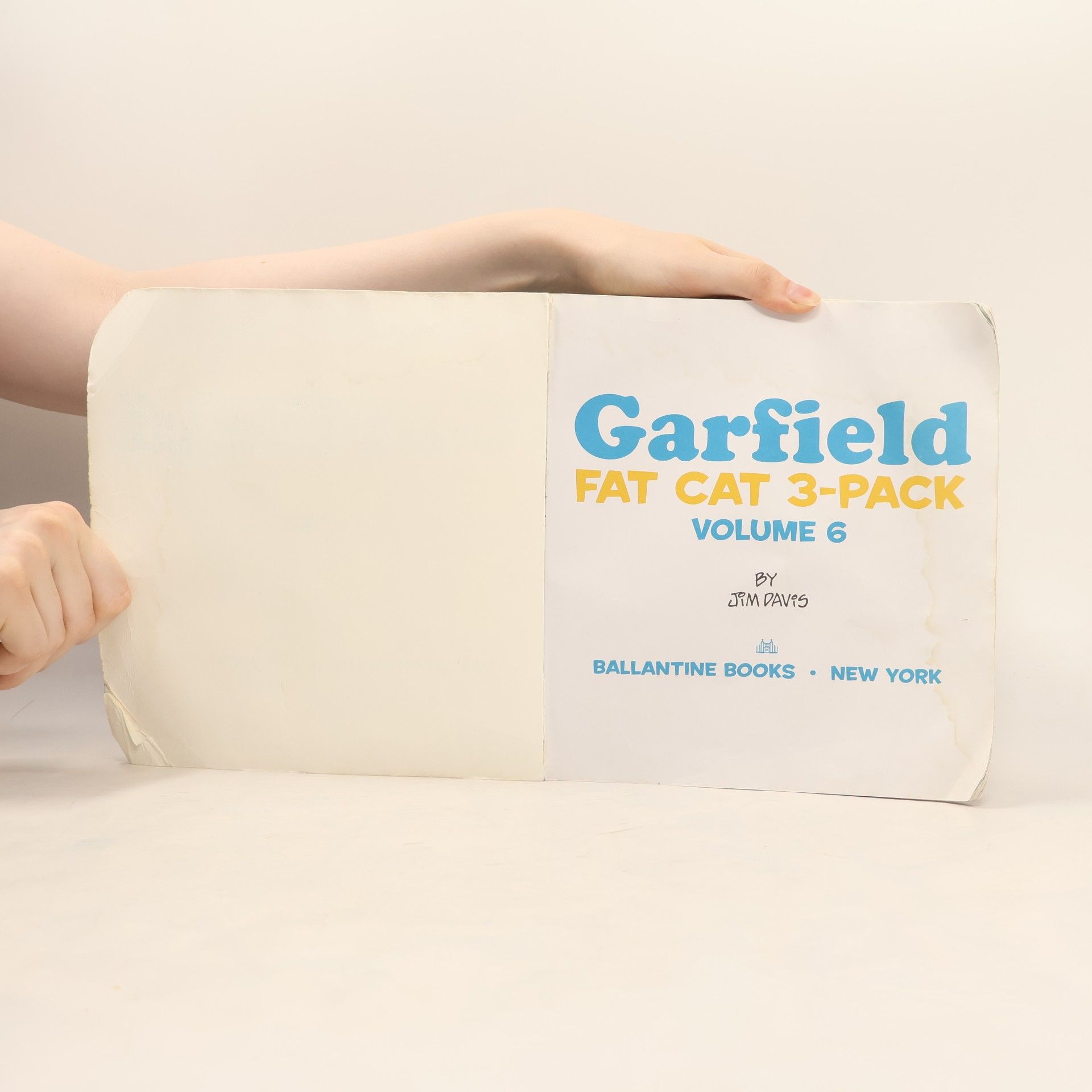 Jim Davis Garfield Fat Cat 3-Pack vol. 6