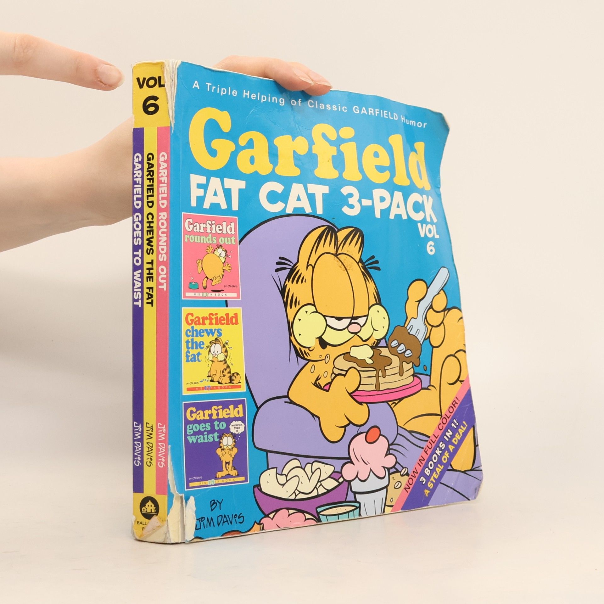 Jim Davis Garfield Fat Cat 3-Pack vol. 6
