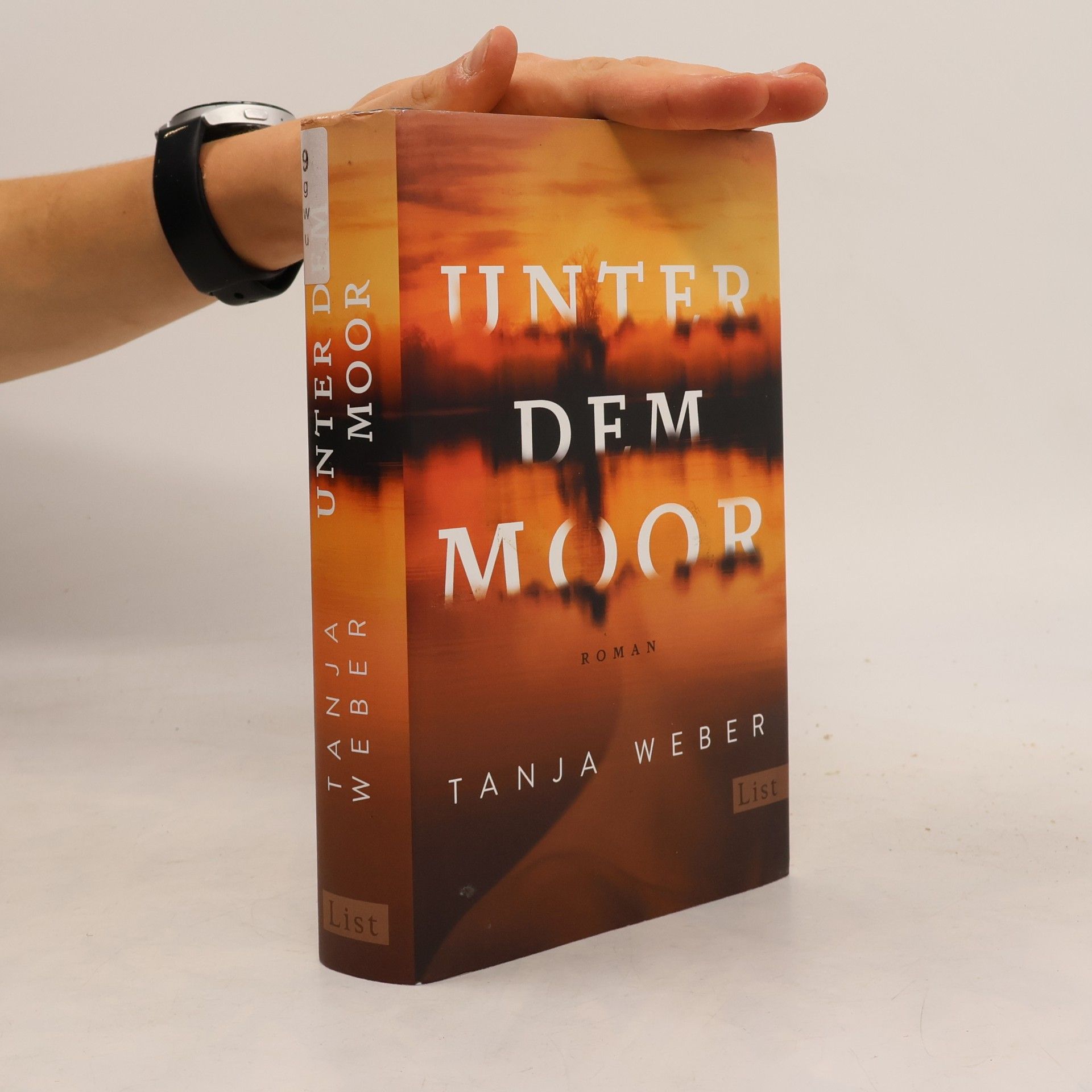 Tanja Weber Unter dem Moor
