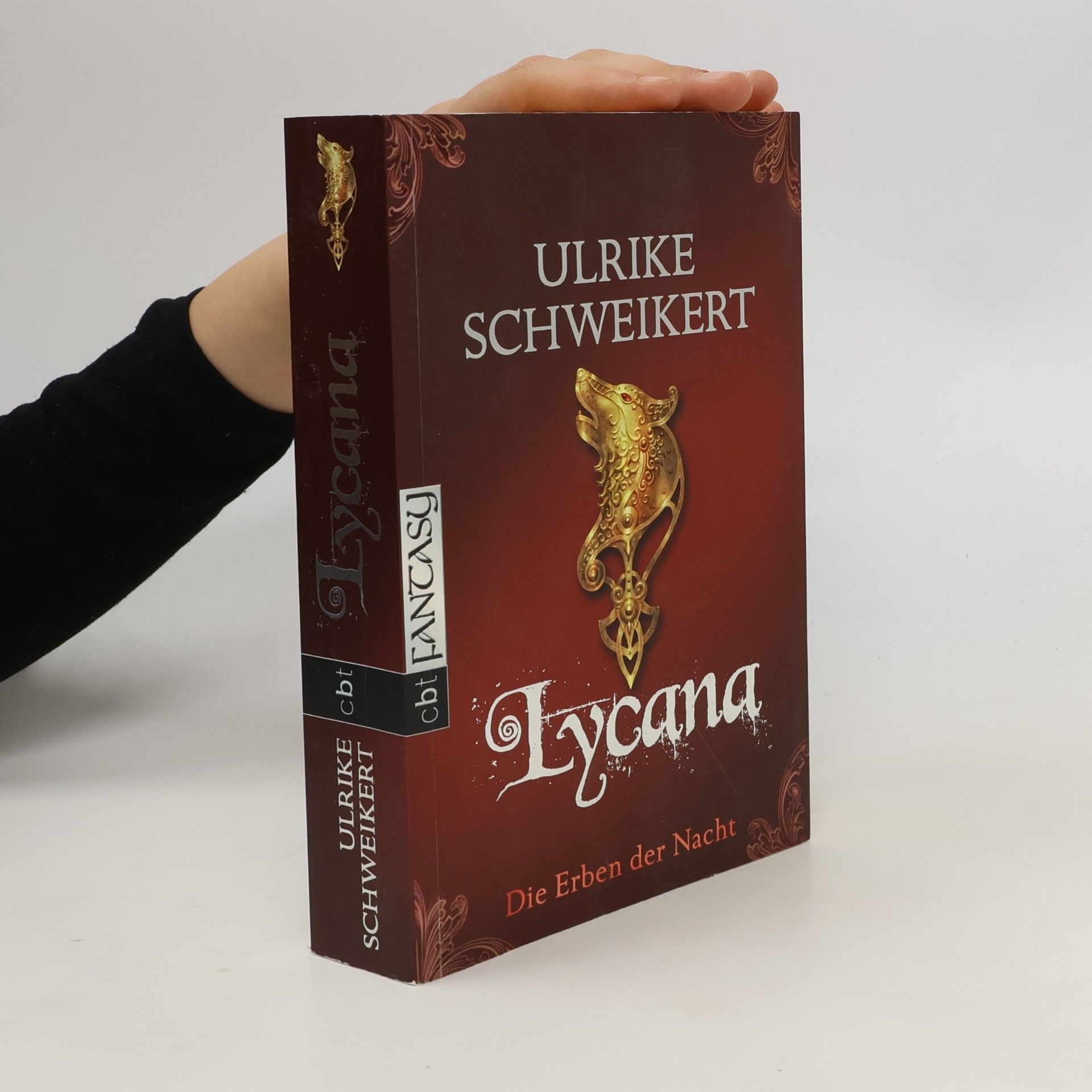 Ulrike Schweikert Die Erben der Nacht