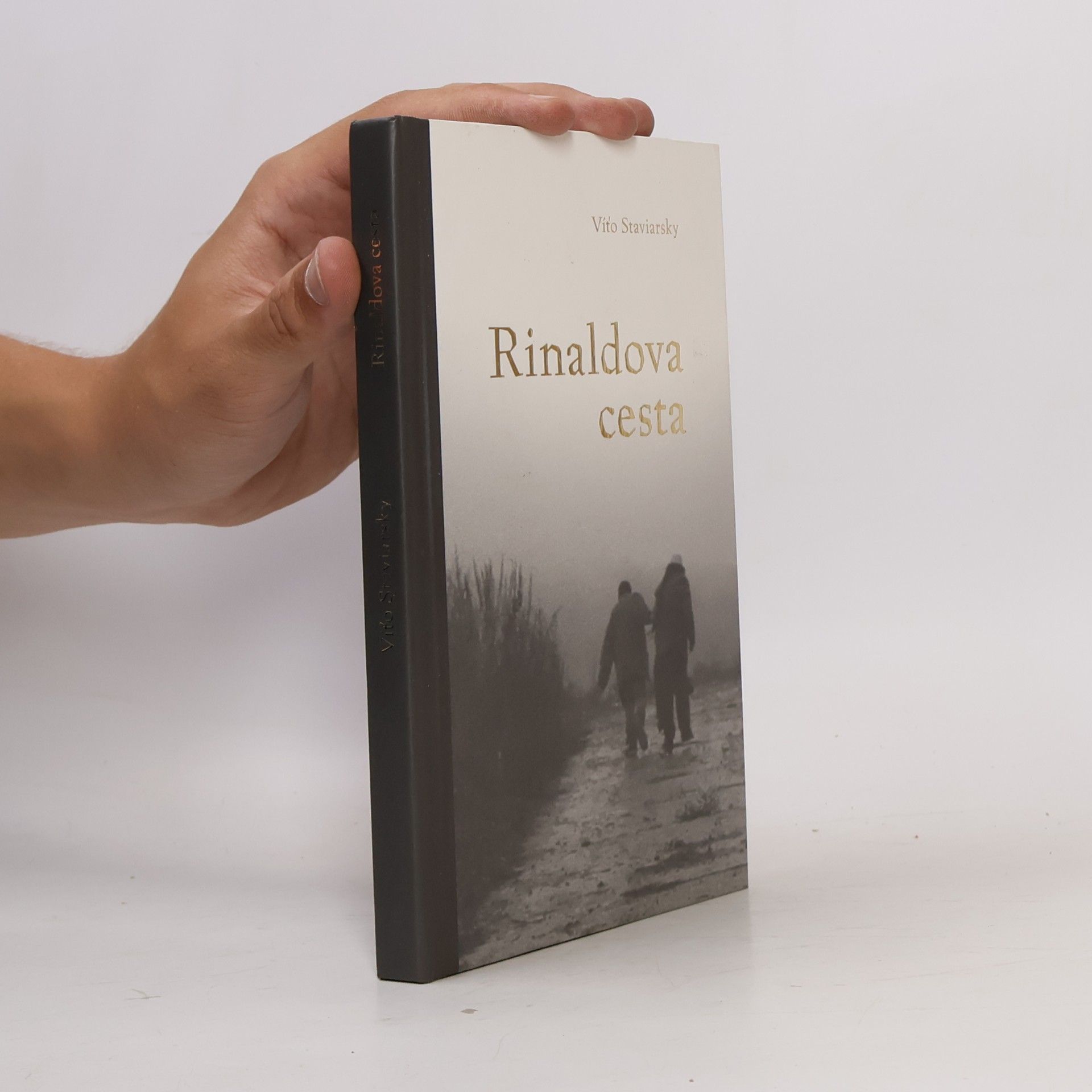 Víťo Staviarsky Rinaldova cesta