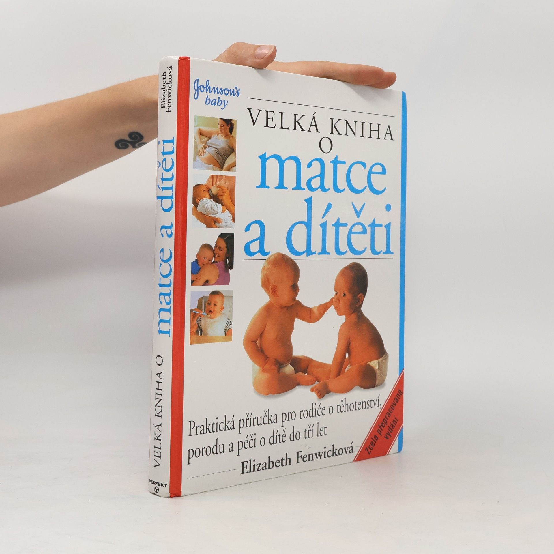 Elizabeth Fenwick Velká kniha o matce a dítěti