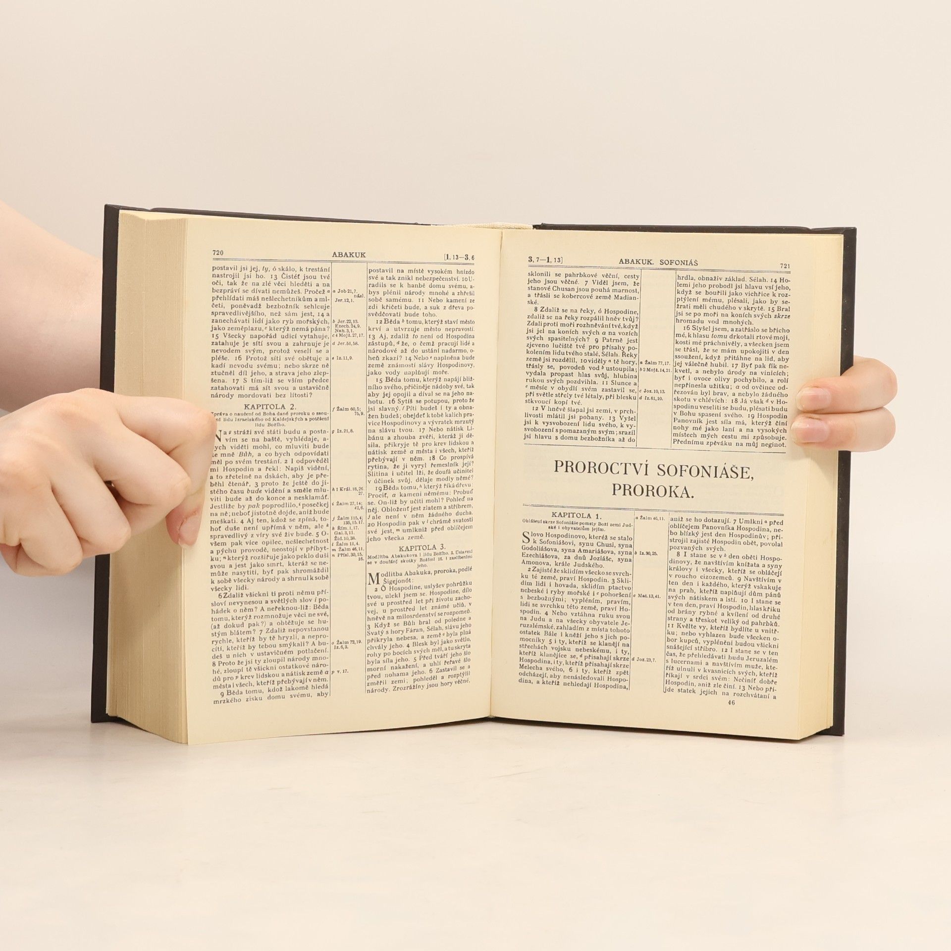 Kolektív autorov Bible svatá aneb všecka svatá písma Starého i Nového zákona