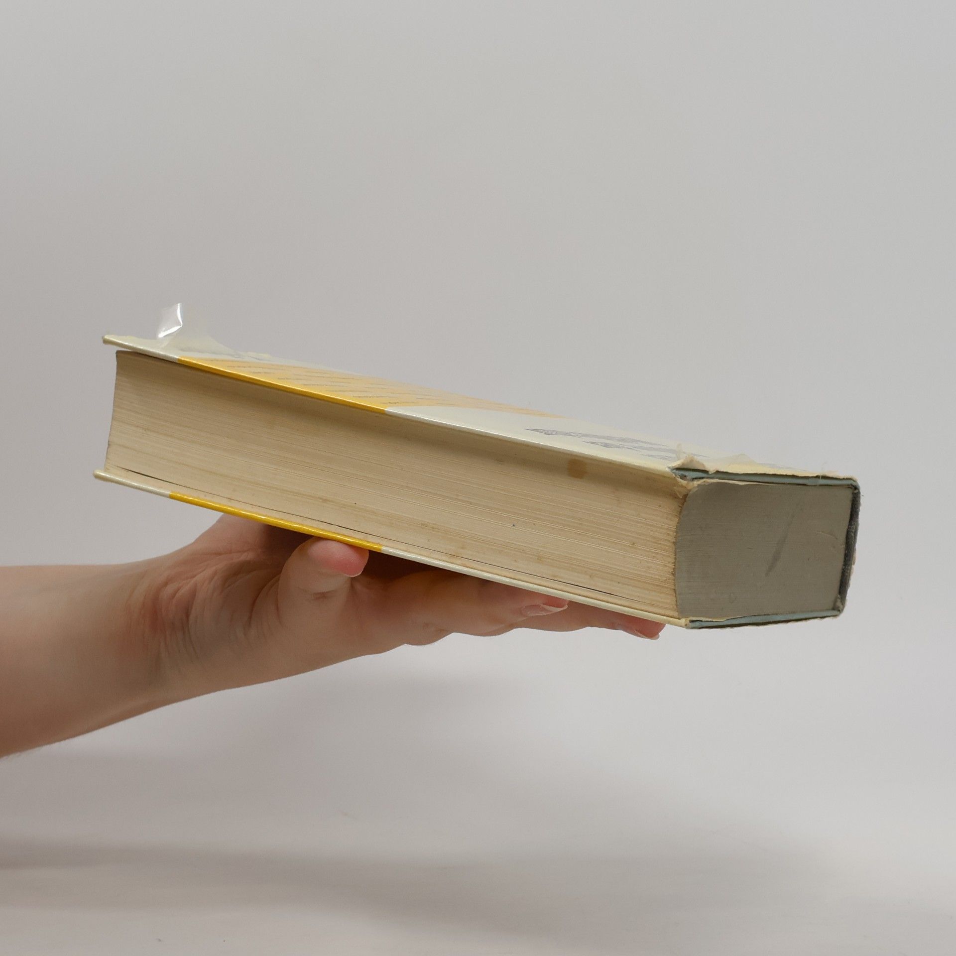 Elisabeth Frenzel Motive der Weltliteratur