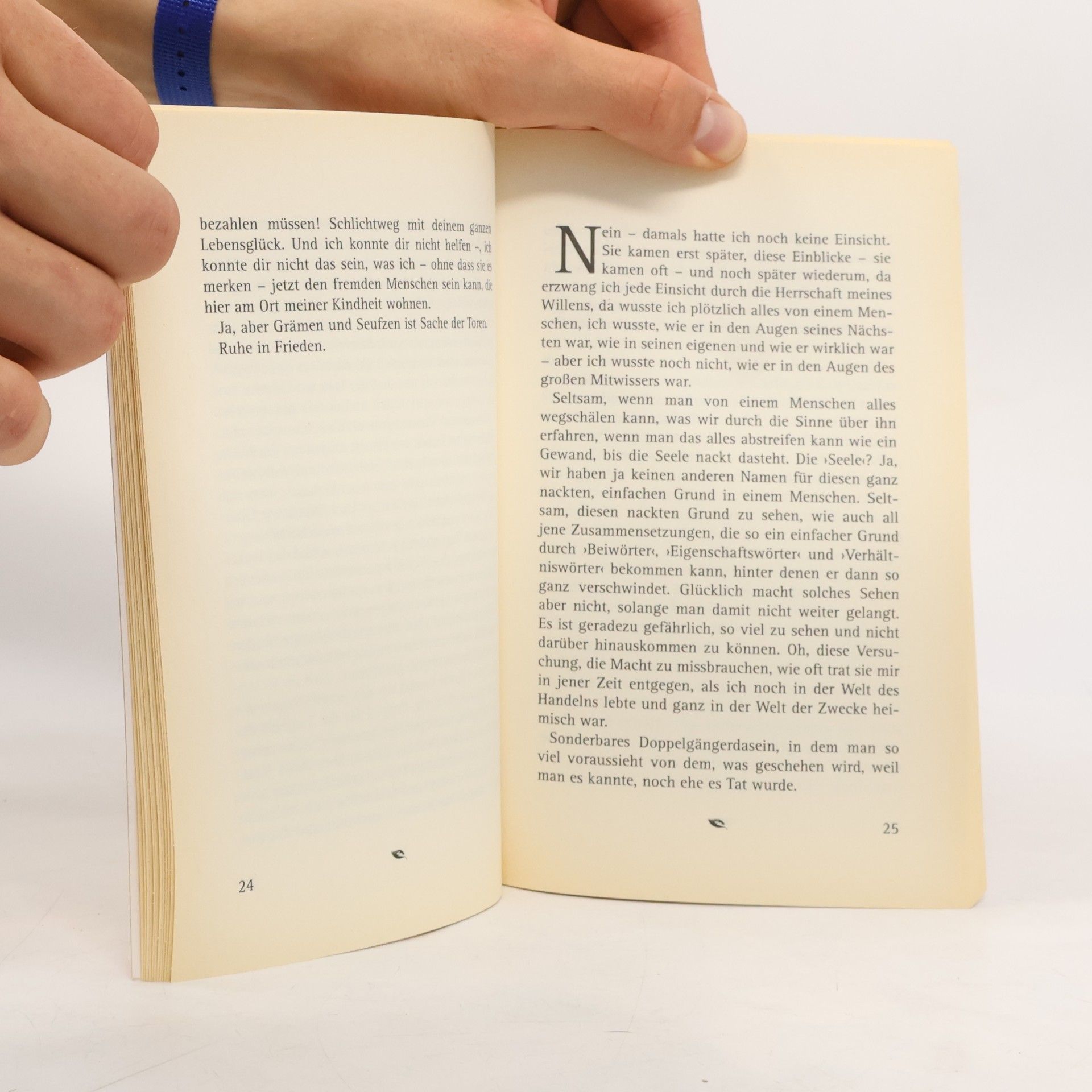Johannes Anker Larsen Der Kandidat. Zwei Novellen