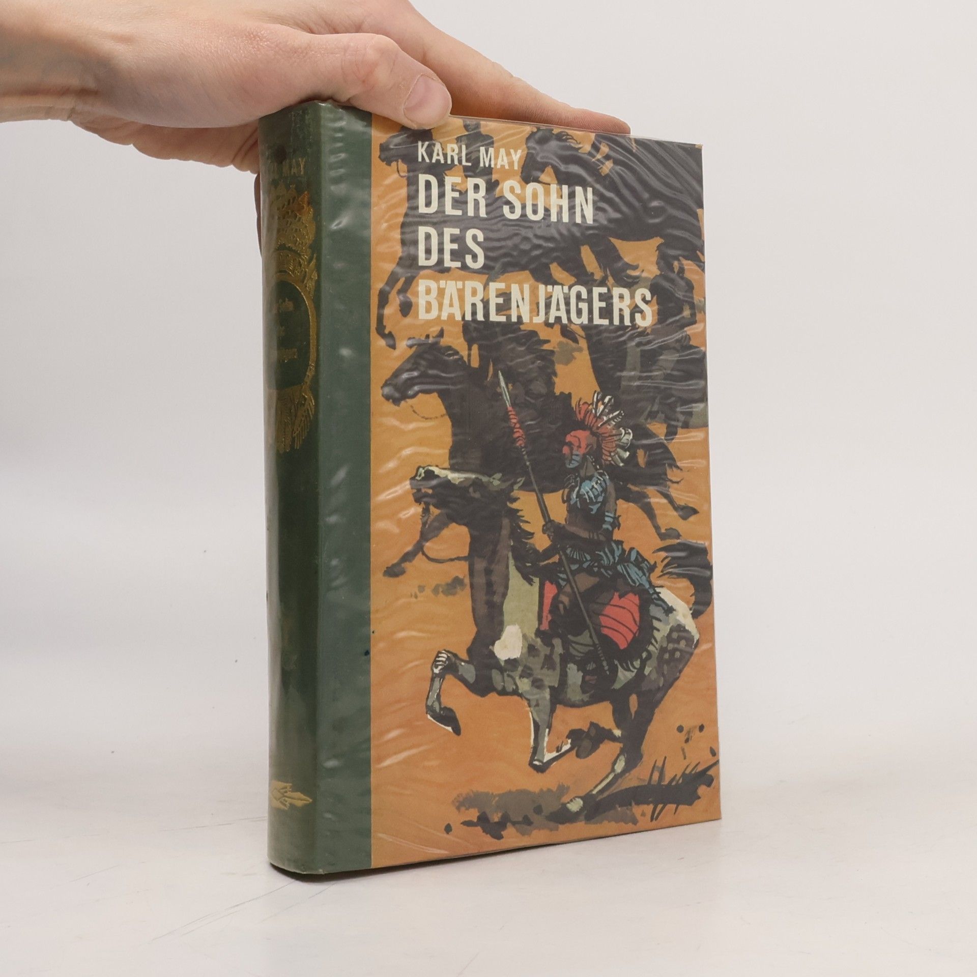 Karl May Der Sohn des Bärenjägers