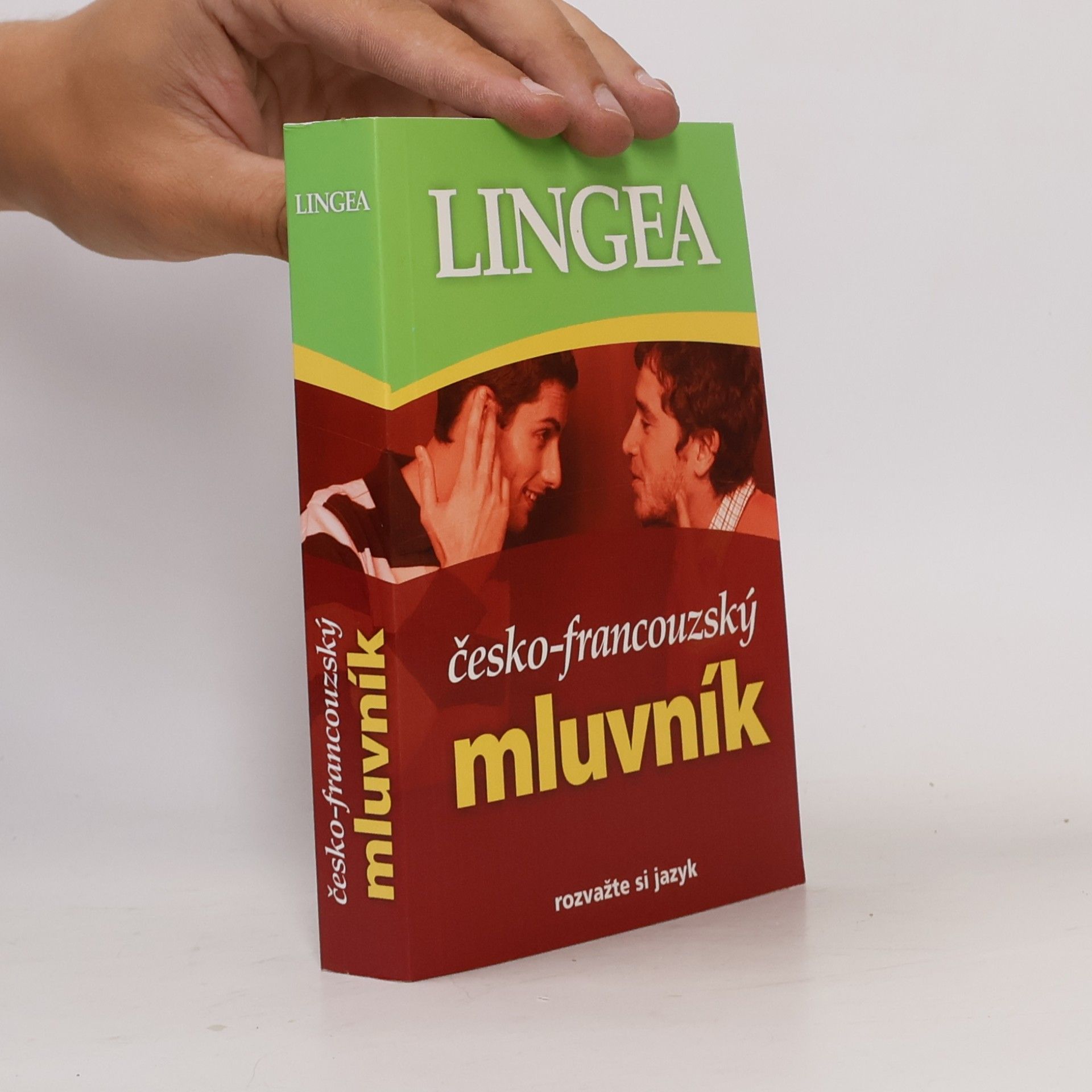 Autorenkollektiv Česko-francouzský mluvník