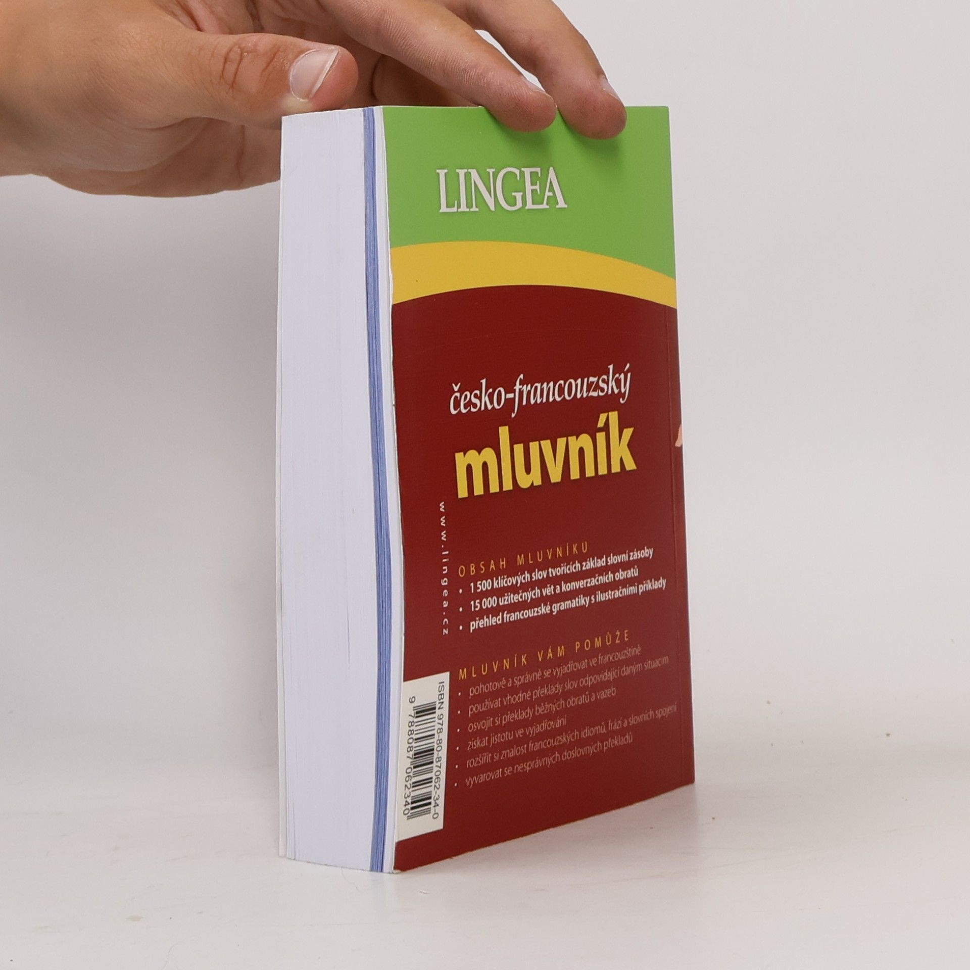 Autorenkollektiv Česko-francouzský mluvník