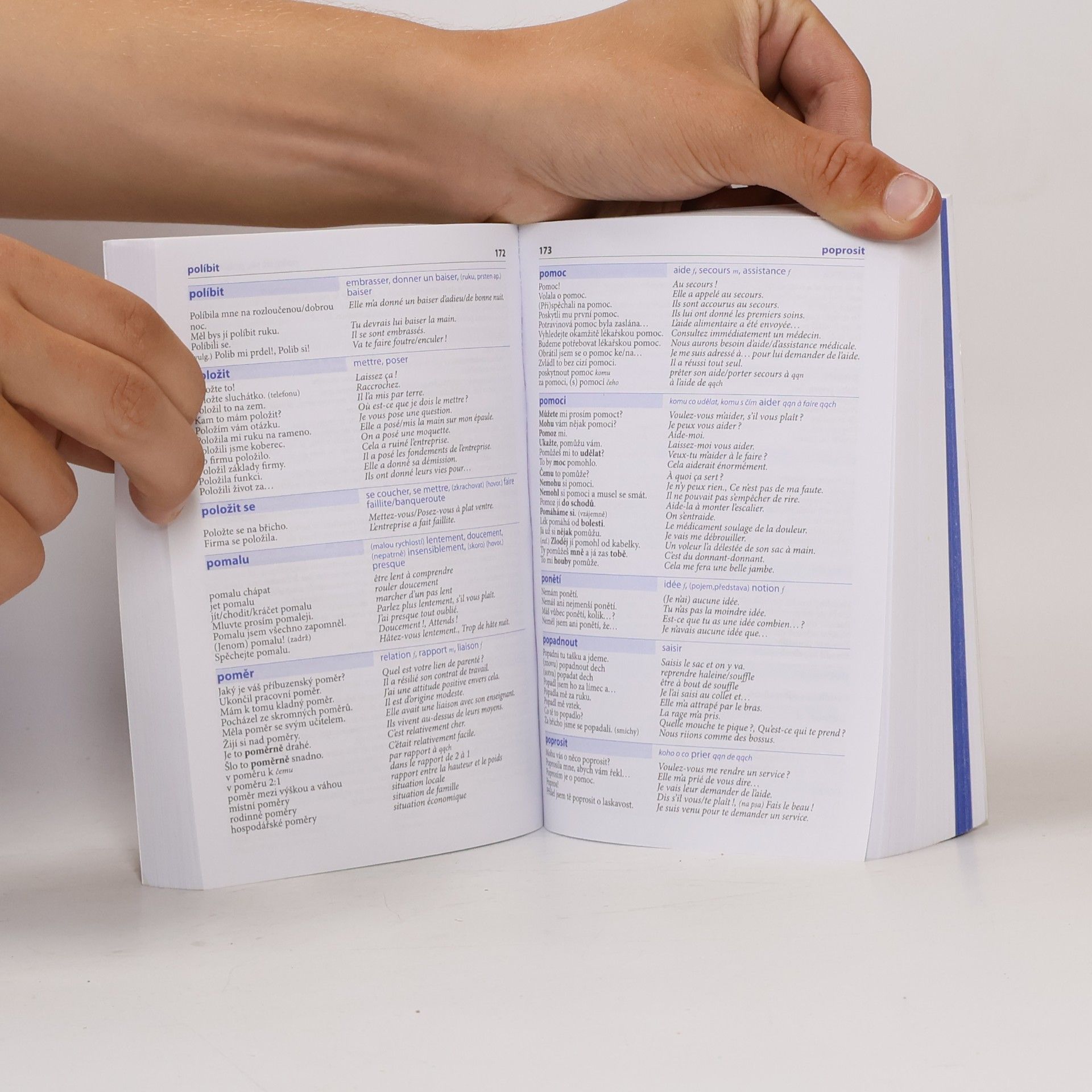 Autorenkollektiv Česko-francouzský mluvník