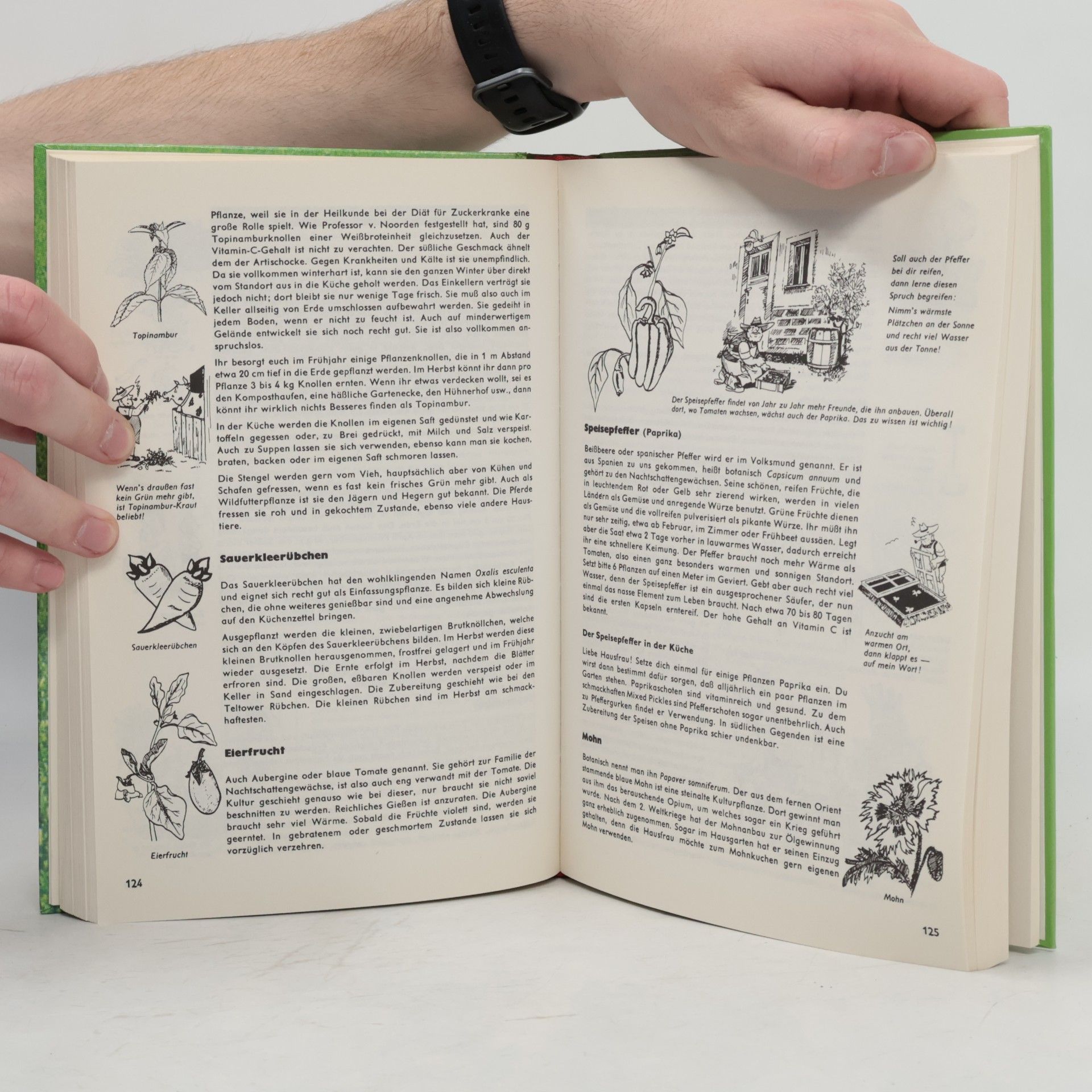 Harry Pötschkes Gärtner Pötschkes Großes Gartenbuch