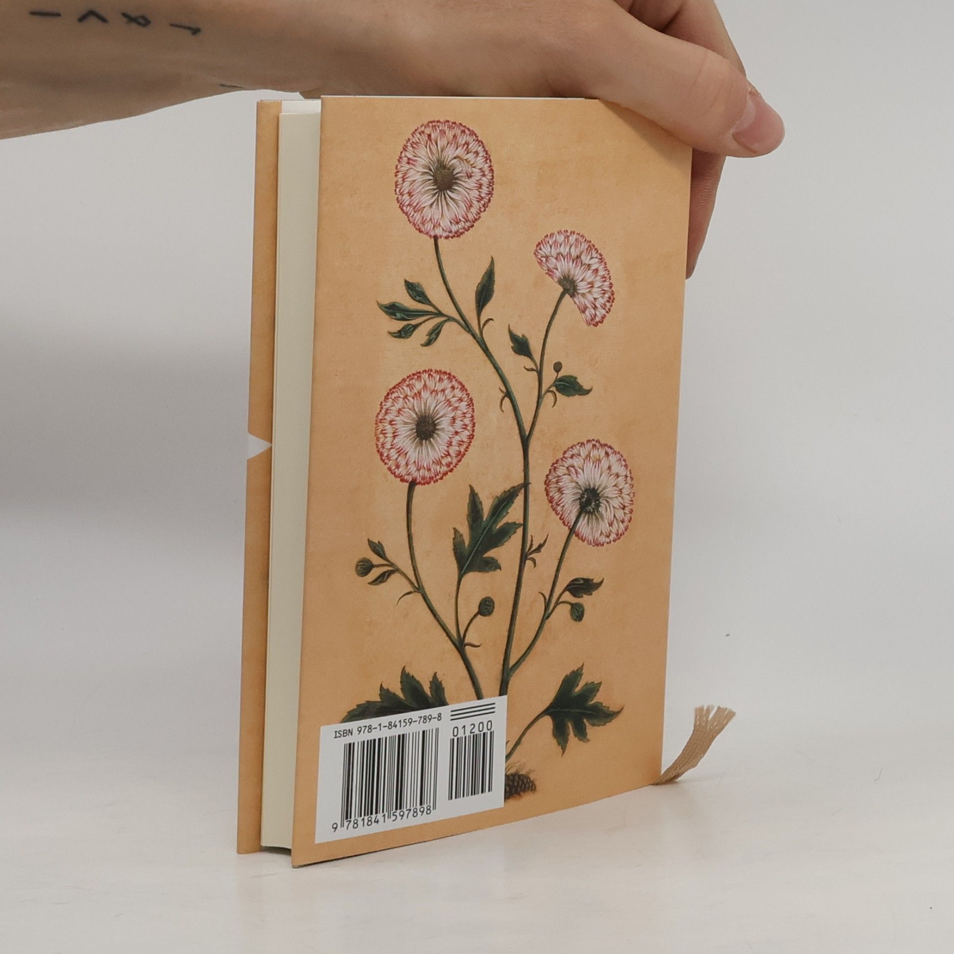 Emily Dickinson Everyman's Library Pocket Poets: Letters of Emily Dickinson