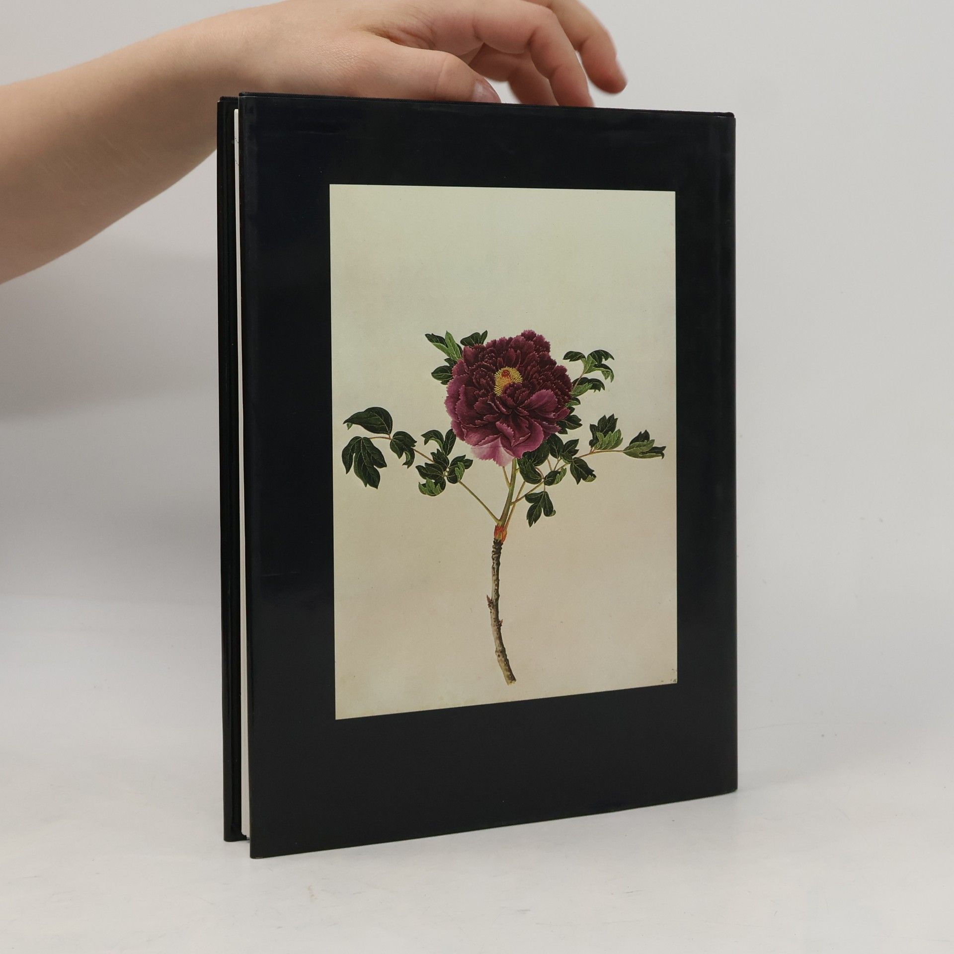Jenny Rodwell Blumenmalerei