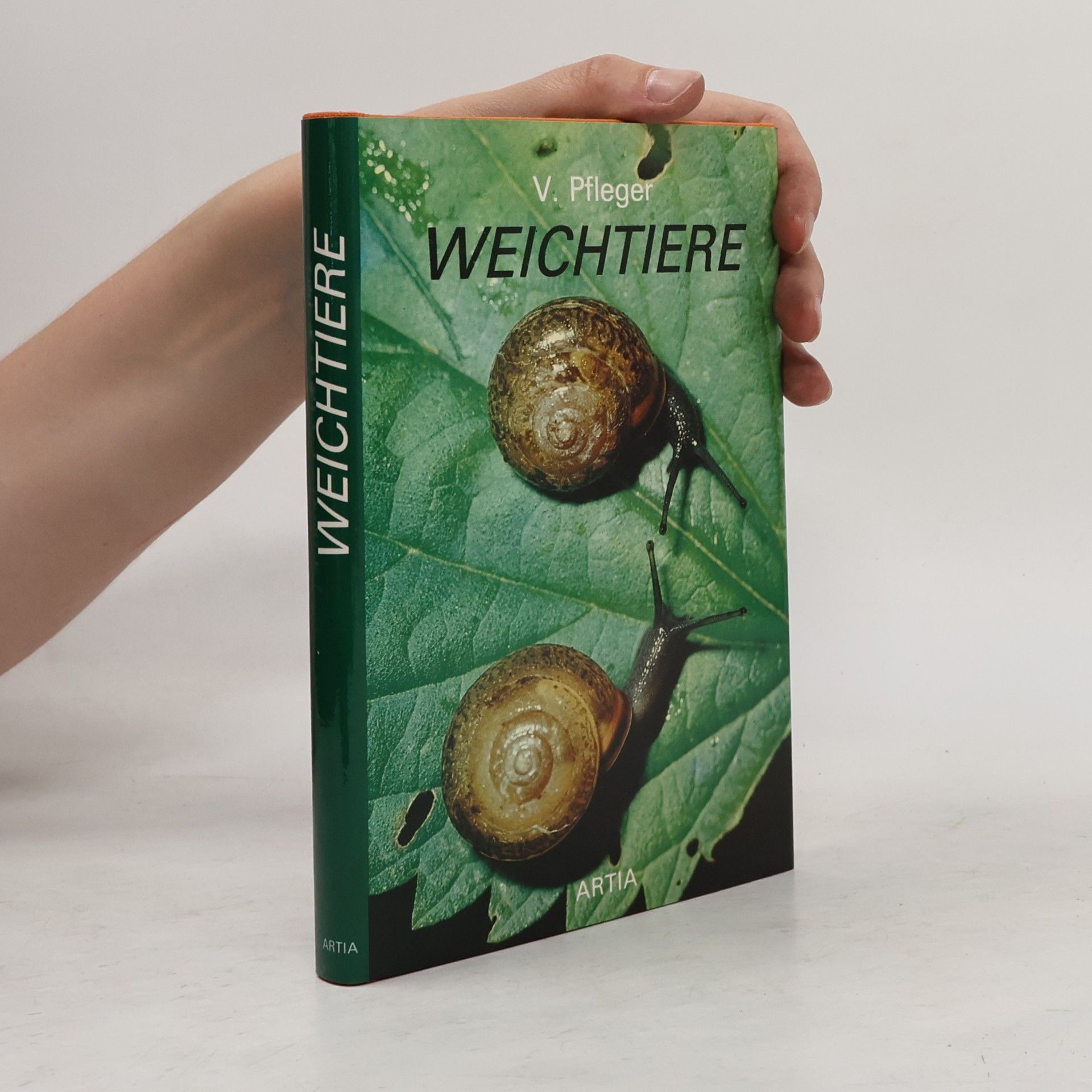 Weichtiere