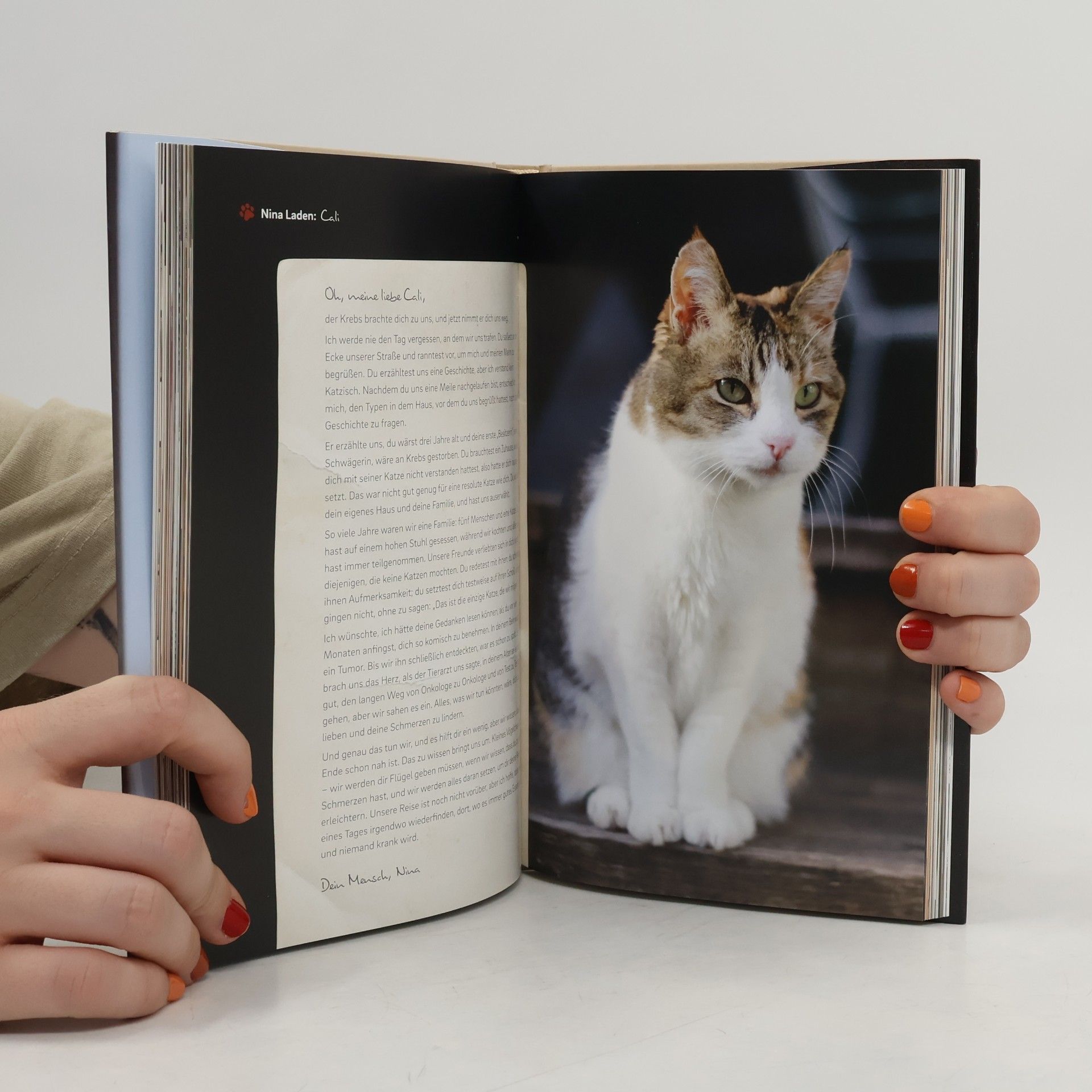 Ursula Prawitz Ein Brief an meine Katze