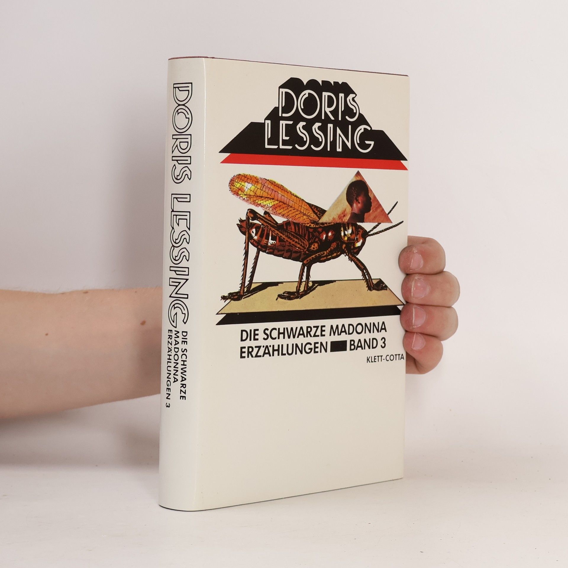 Doris Lessing Die andere Frau