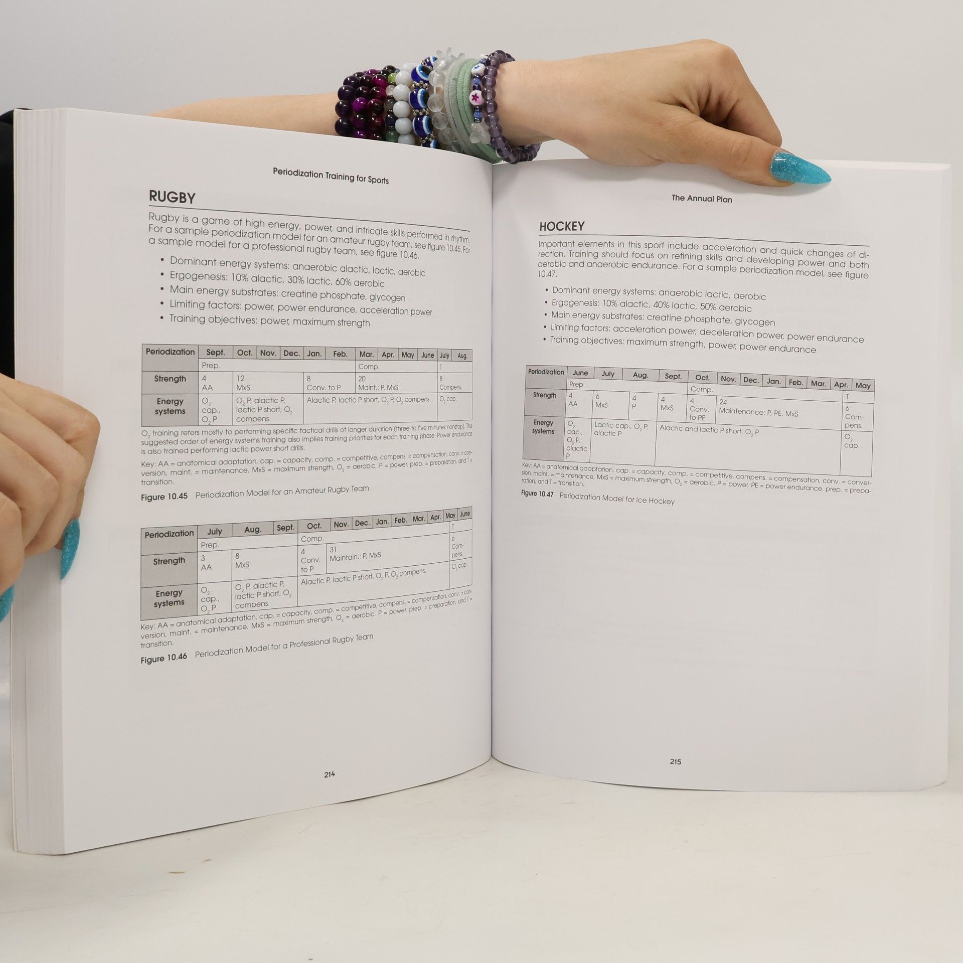 Tudor Bompa Periodization Training for Sports