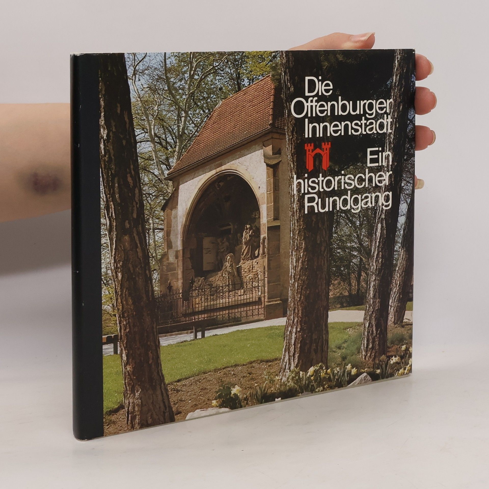 Michael J. Friedmann Die Offenburger Innenstadt. Ein historischer Rundgang