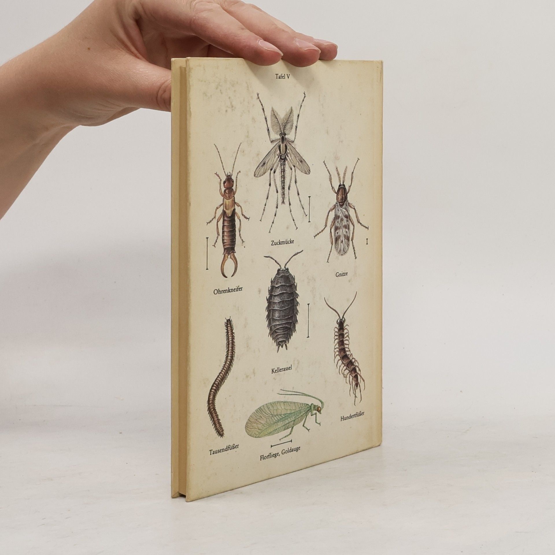 Various authors Plagegeister