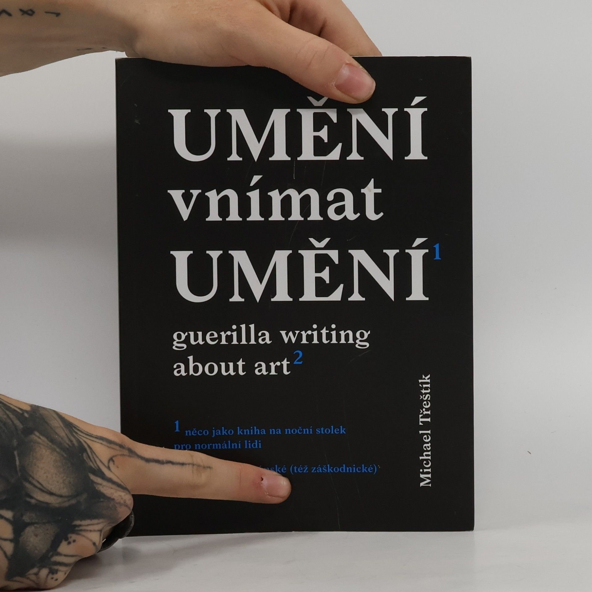 Michael Třeštík Umění vnímat umění