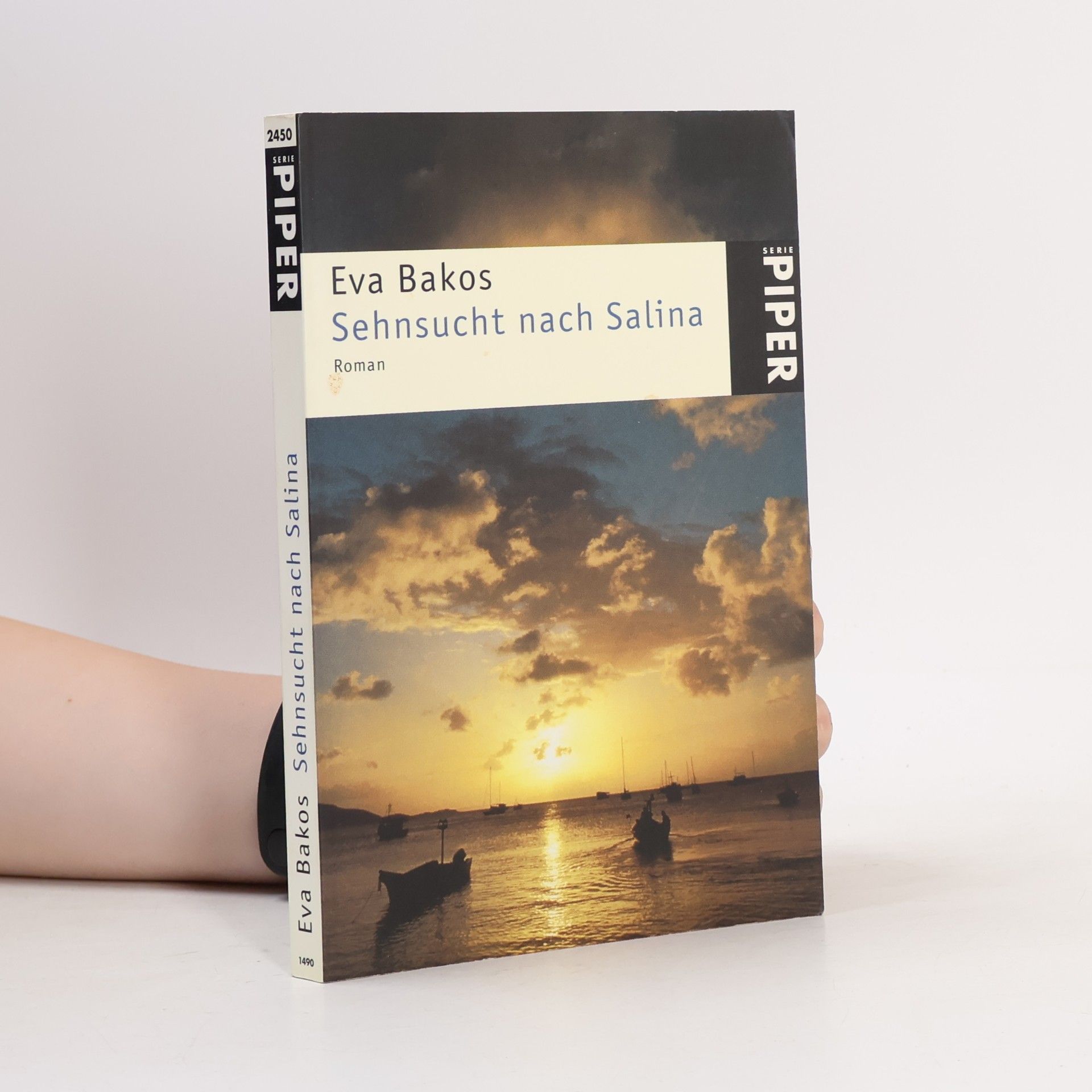 Sehnsucht nach Salina