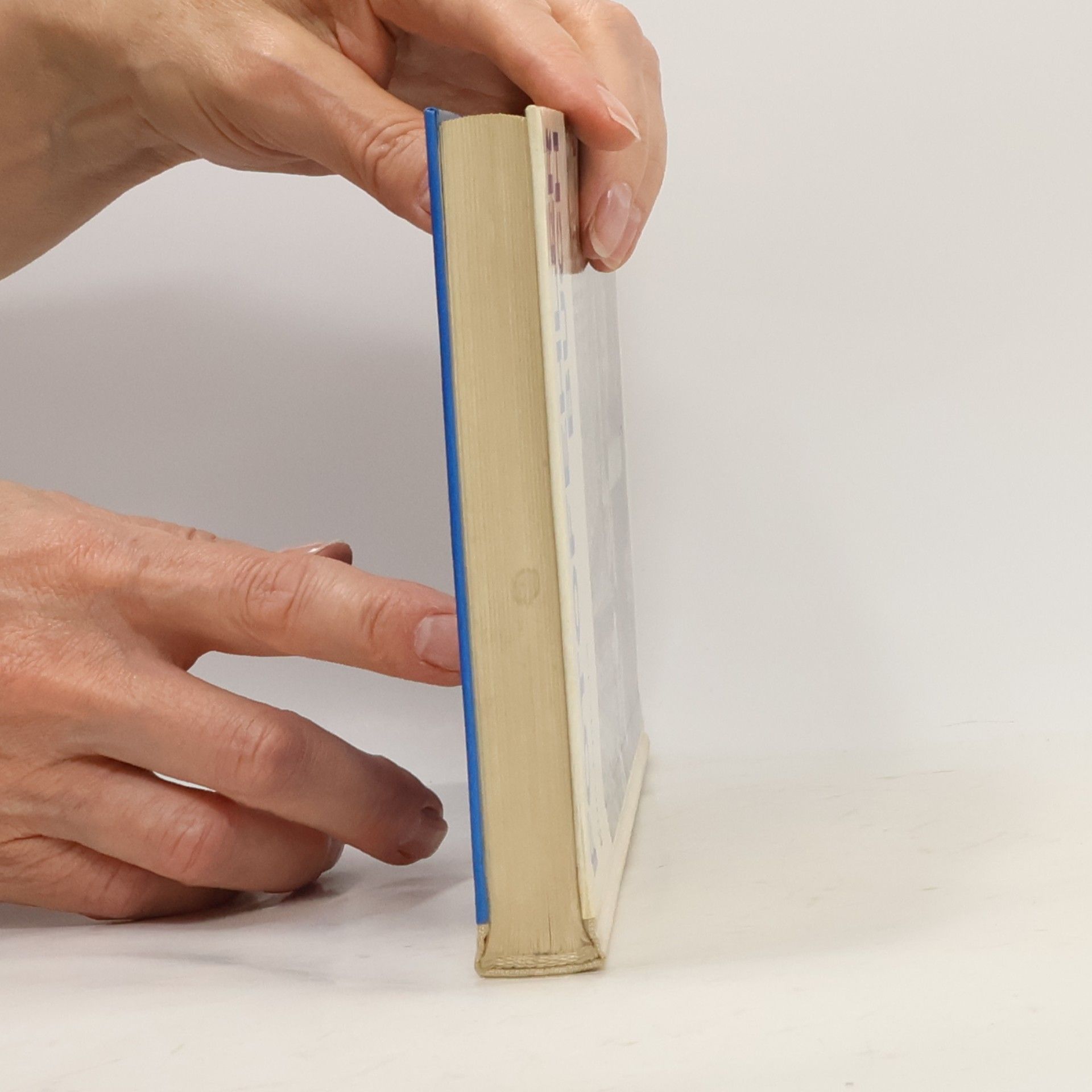 Kurt Fritsche Fotobehler buch