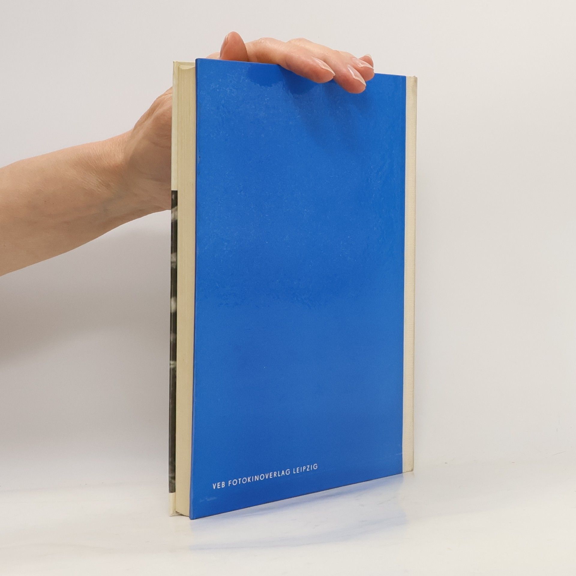 Kurt Fritsche Fotobehler buch