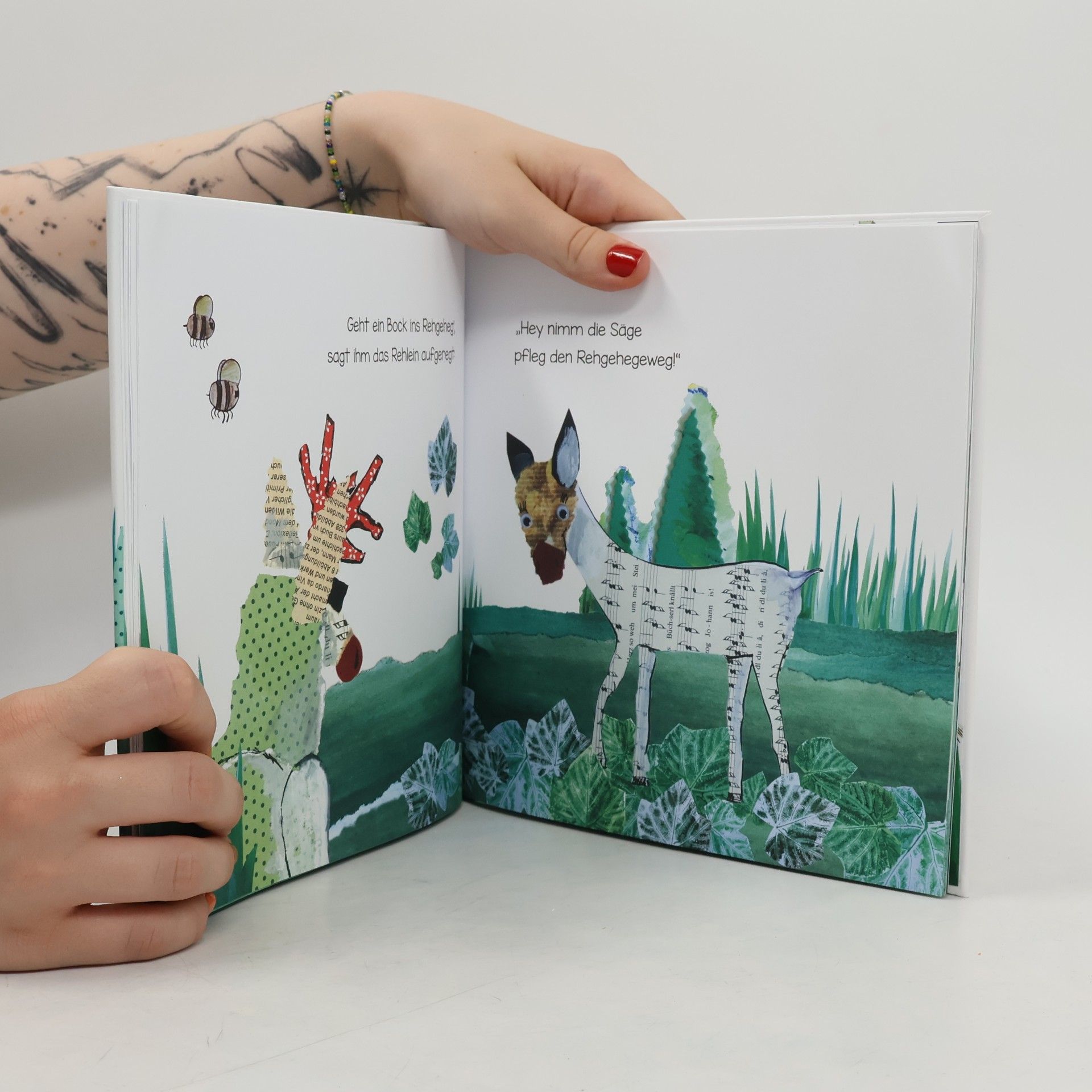 Dominik Schicho Das Rehgehegewegepflegeschrägesäge Buch